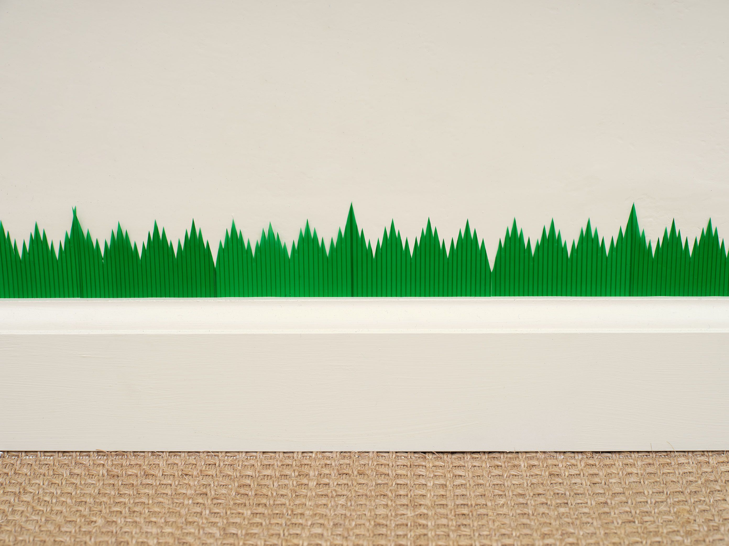 Joe Zorrilla, Timbre at Hannah Hoffman, photo 8