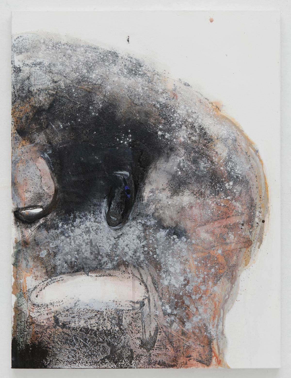 Suzanne McClelland, Mute at Team, photo 2