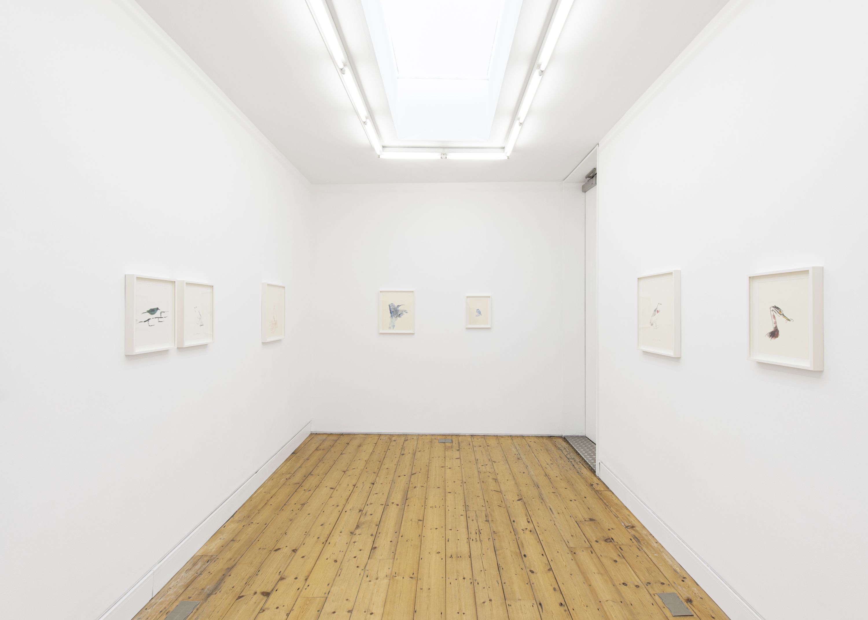Bill Lynch, I Am a Bird From Heaven’s Garden at The Approach, photo 10