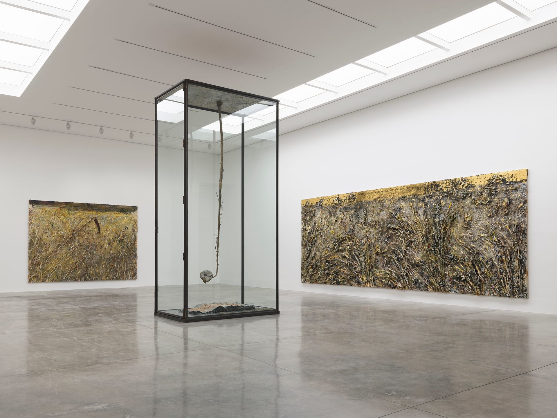 Anselm Kiefer, Sweet Golden Clime for William Blake at White Cube, photo 3