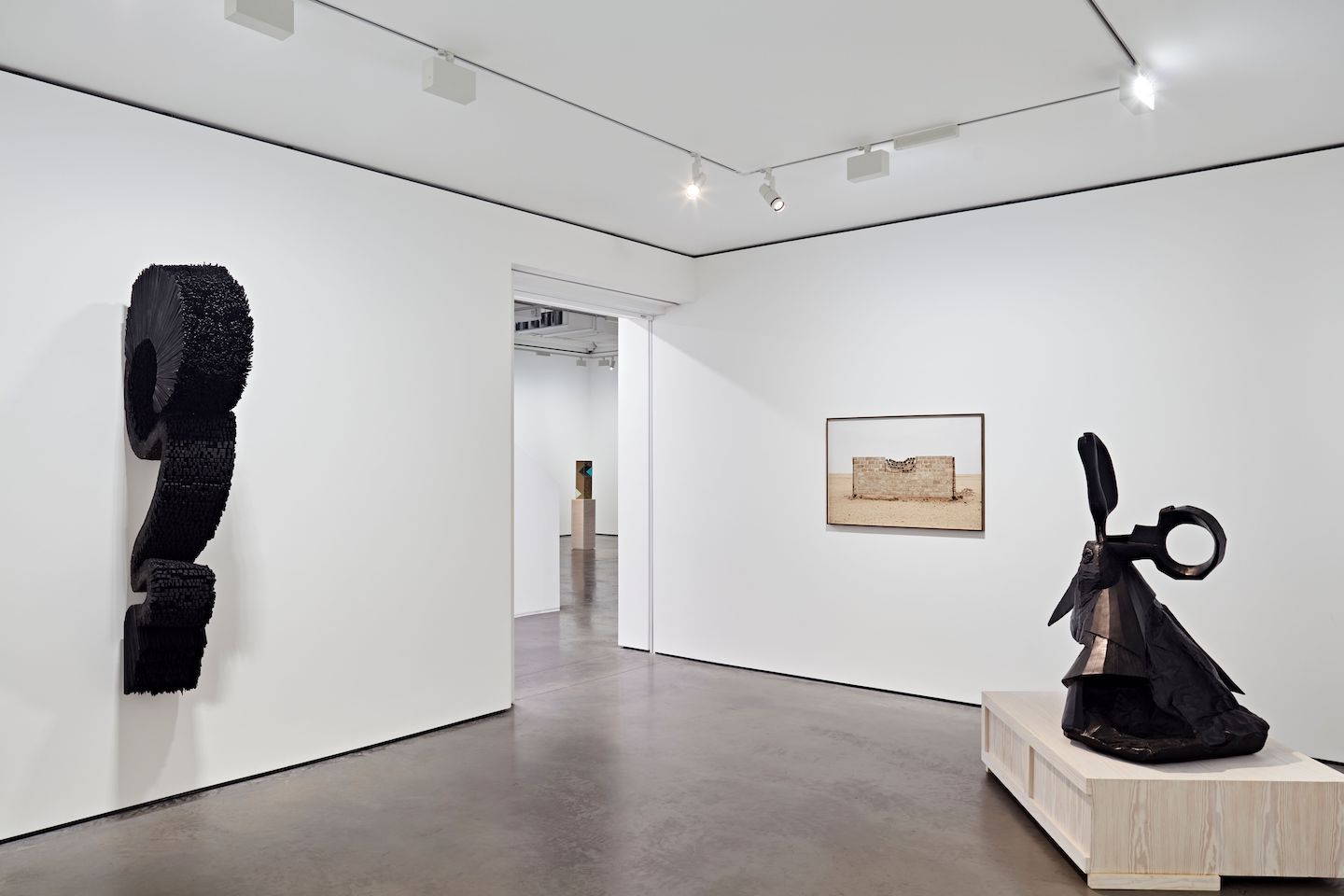 Irapuru, Irapuru at Goodman Gallery, photo 10