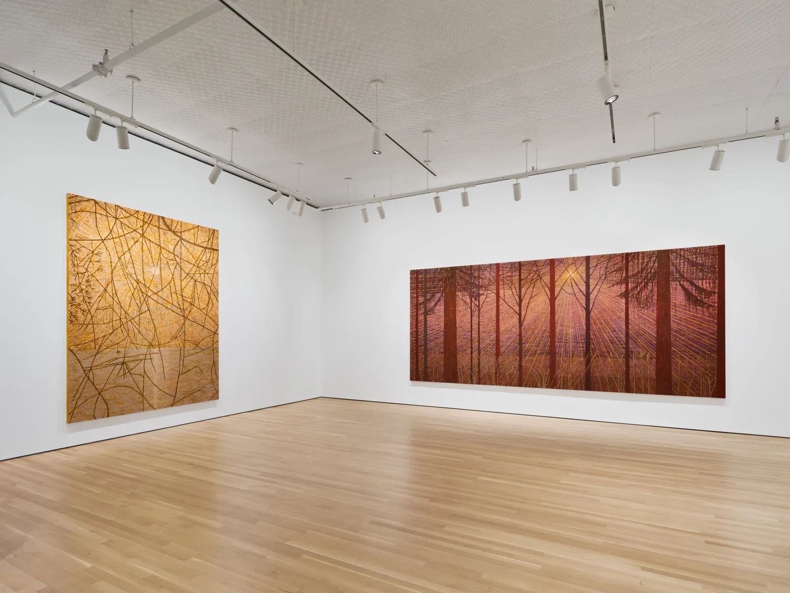 Sky Glabush, The Letters of This Alphabet Were Trees at Stephen Friedman, photo 2