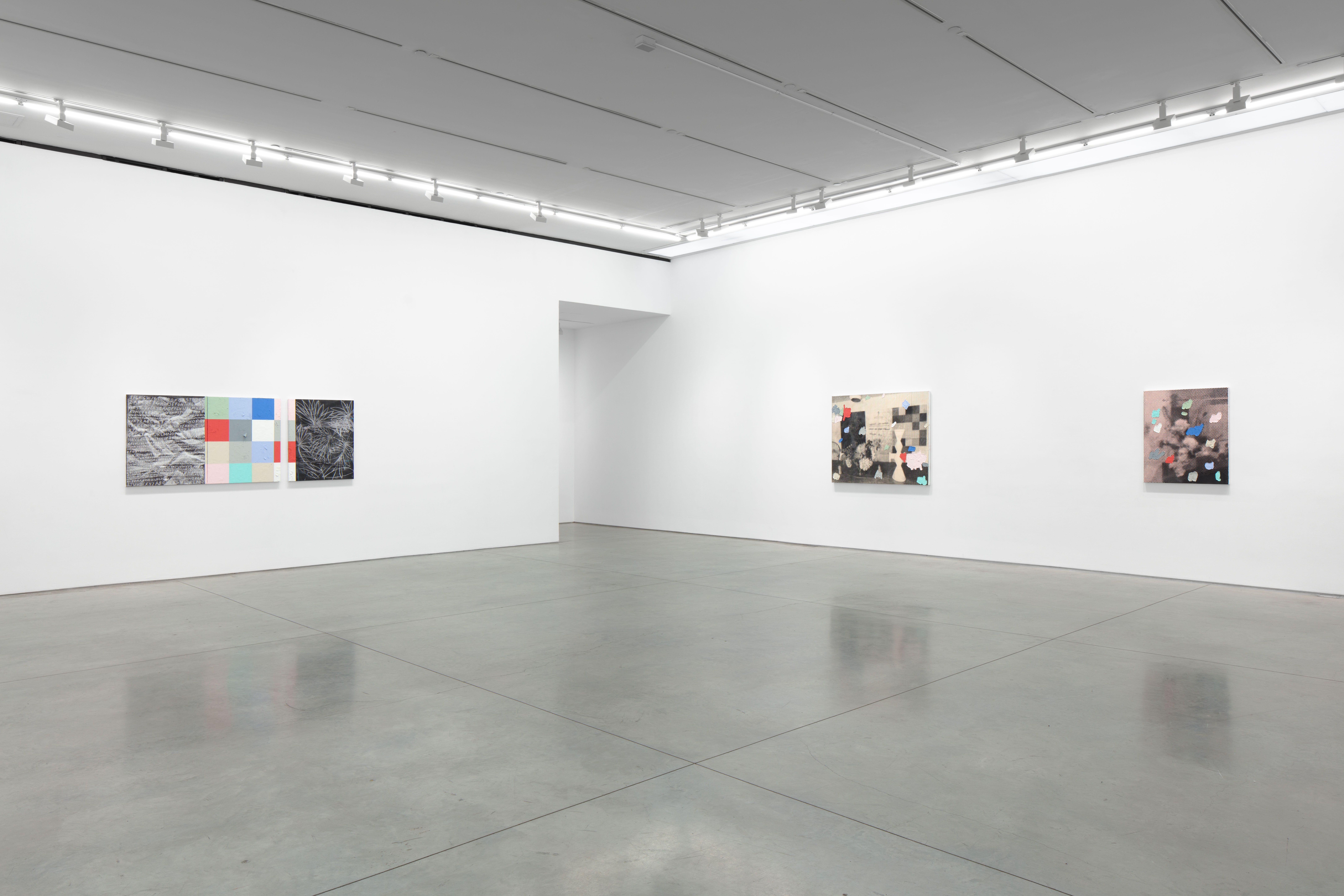 Dashiell Manley, Model ______ at Marianne Boesky Gallery, photo 3
