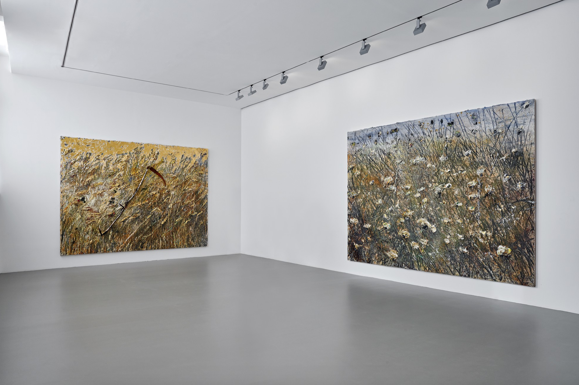 Anselm Kiefer, Field of the Cloth of Gold at Gagosian, photo 3