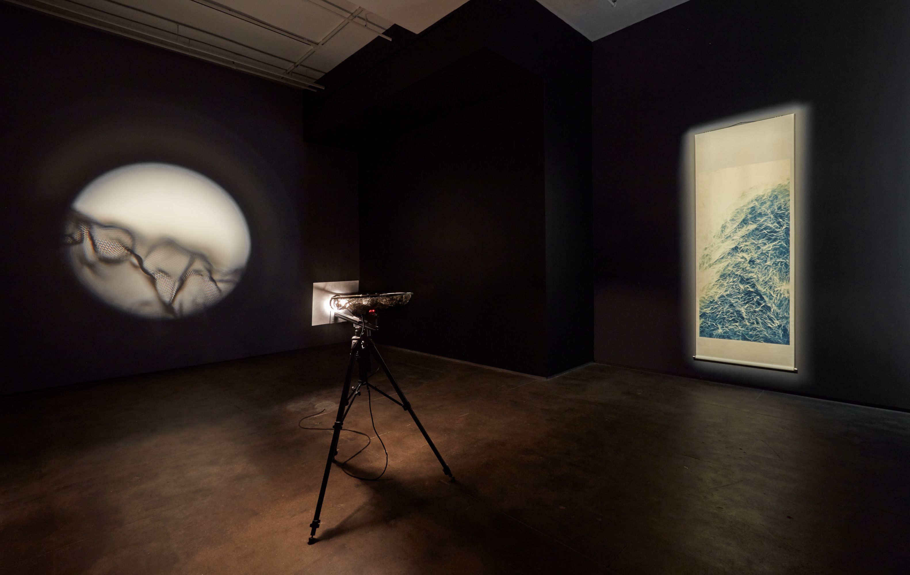 Installation view 6