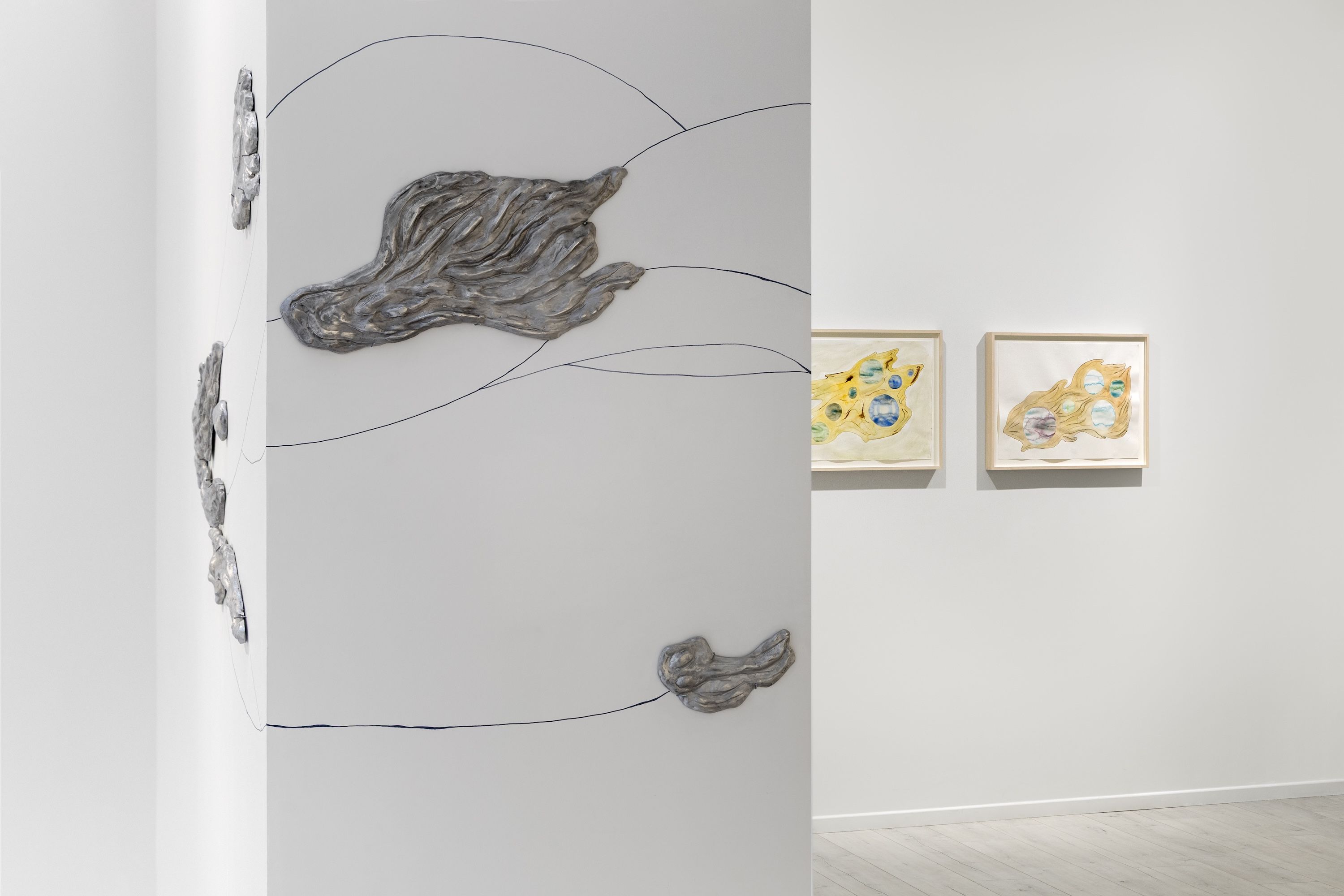 Carin Ellberg, Coastal Settlers and Species from the Sea at Andréhn-Schiptjenko, photo 12