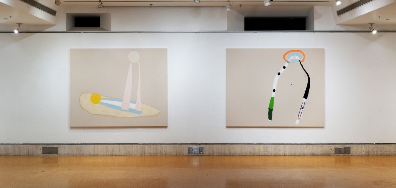 Mason Saltarrelli, Cartographer's Tunnel at Fordham University at Lincoln Center, photo 2