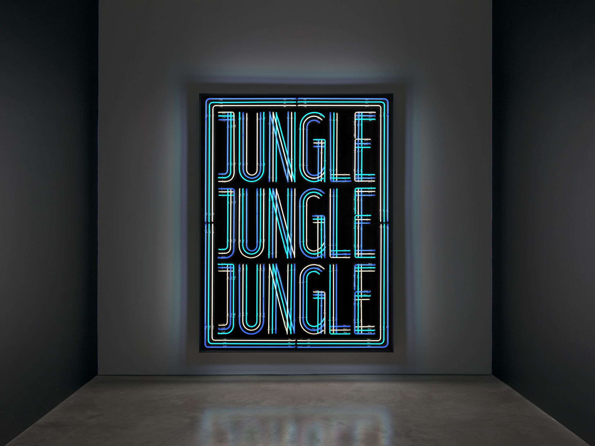 Doug Aitken, New Era at 303 Gallery, photo 3
