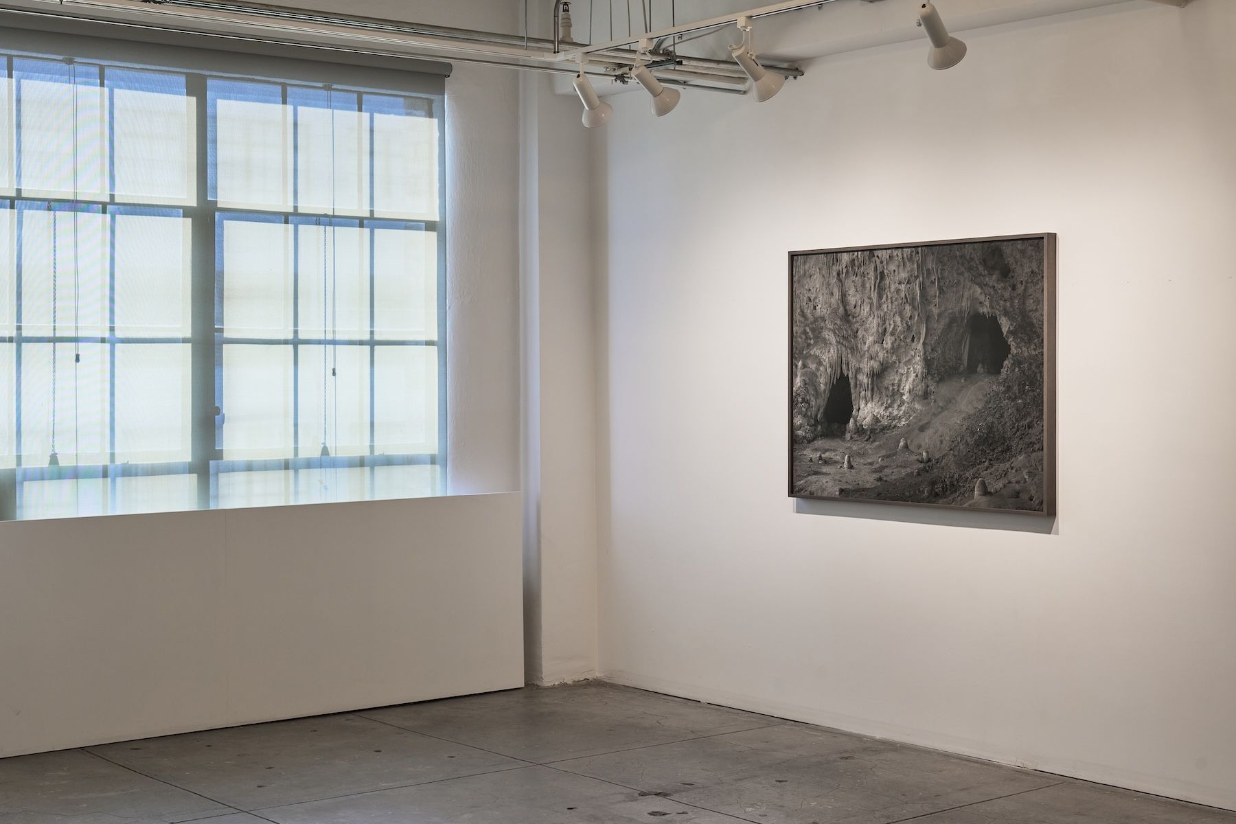 Ron Jude, Low Tide at Gallery Luisotti, photo 16