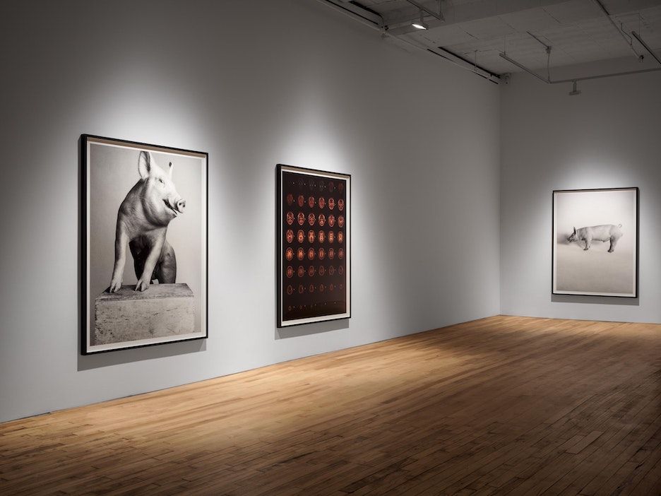 Heji Shin, The Big Nudes at 52 Walker, photo 3