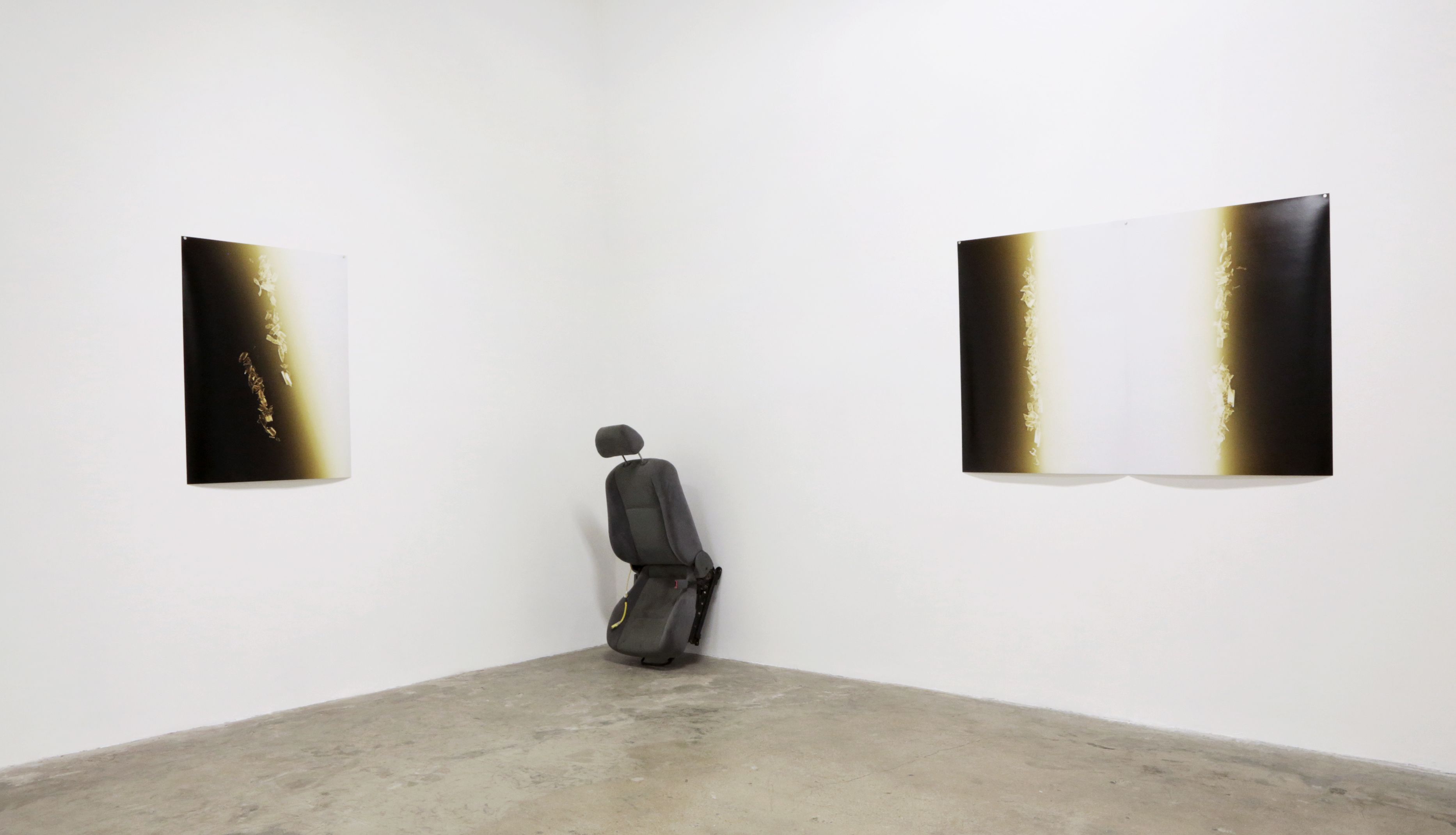 Tatiana Echeverri Fernandez, Bones and Bloodlines to Space at Museum as Retail Space, photo 2