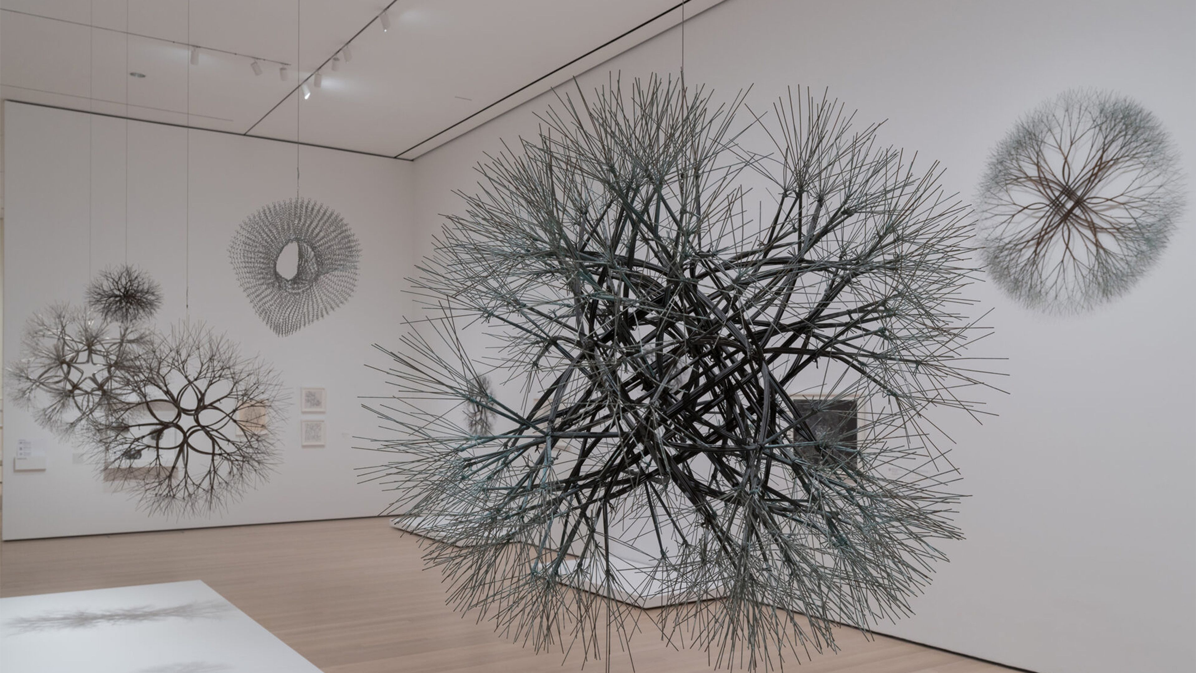 Ruth Asawa, A Retrospective at Museum of Modern Art, photo 4