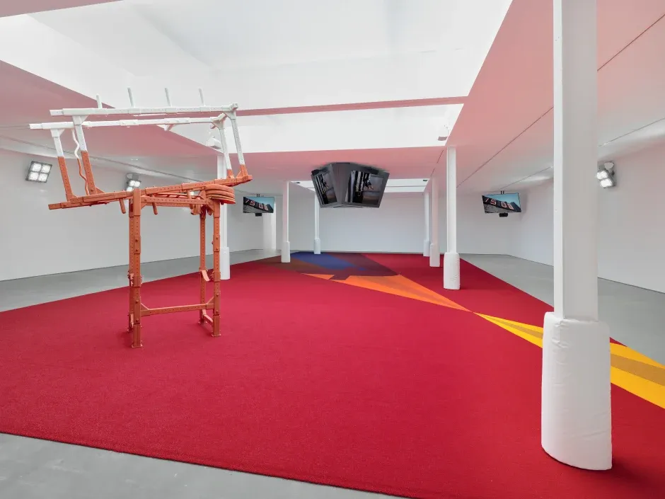 Matthew Barney, Secondary: Light Lens Parallax at Sadie Coles, photo 7
