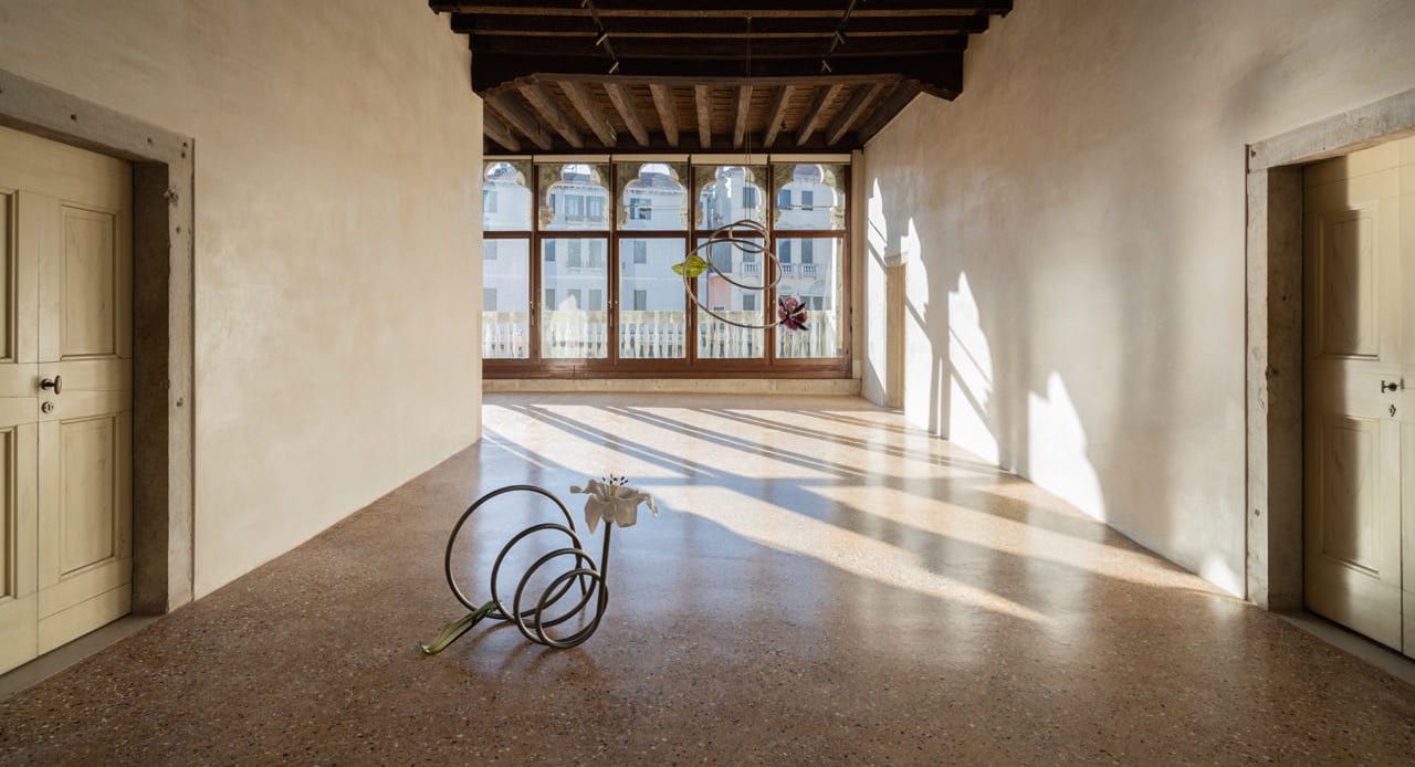 Kelly Akashi, Life Forms at Barbati Gallery, photo 3