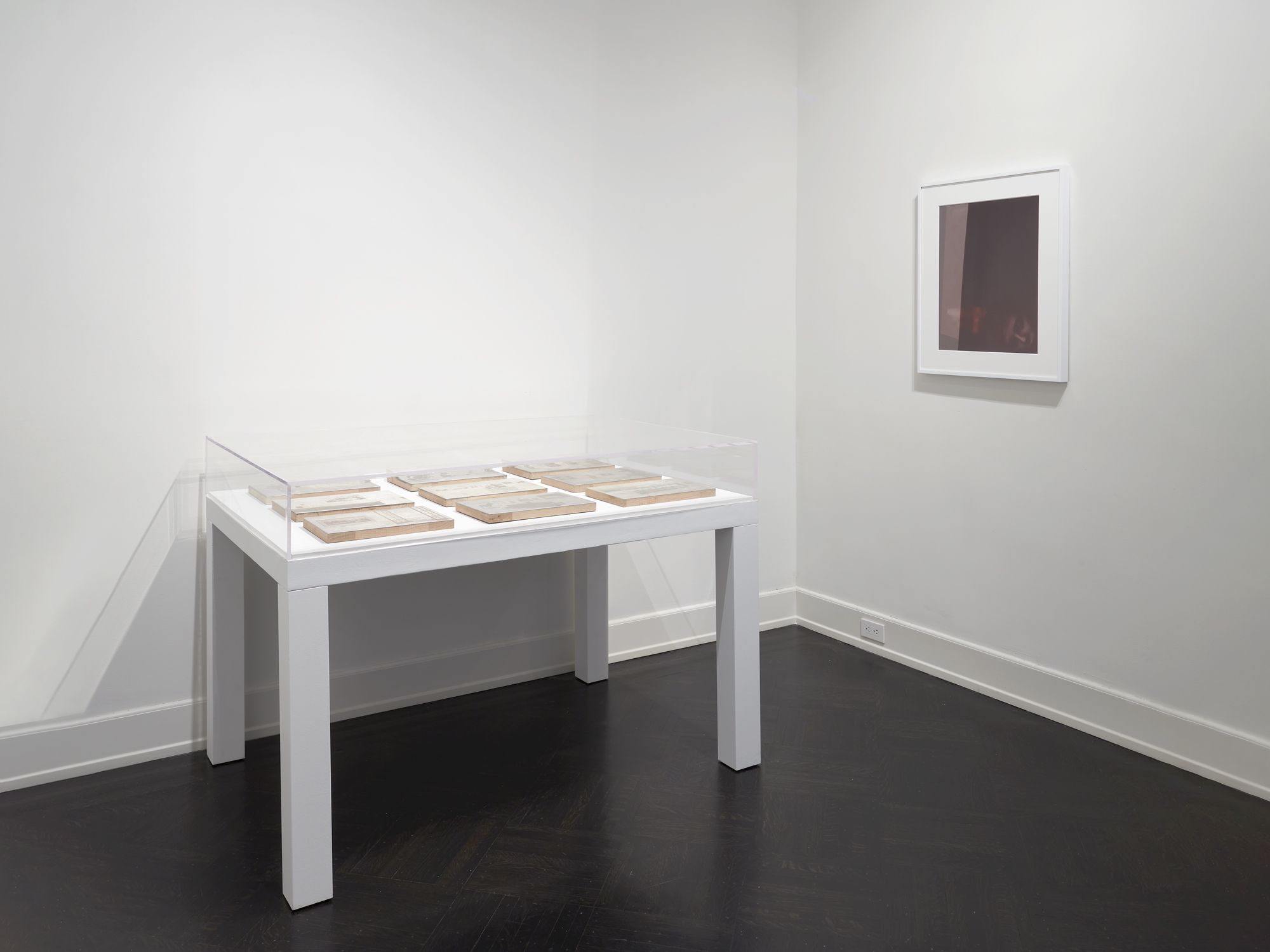 Troy Brauntuch, A Strange New Beauty at Petzel, photo 8