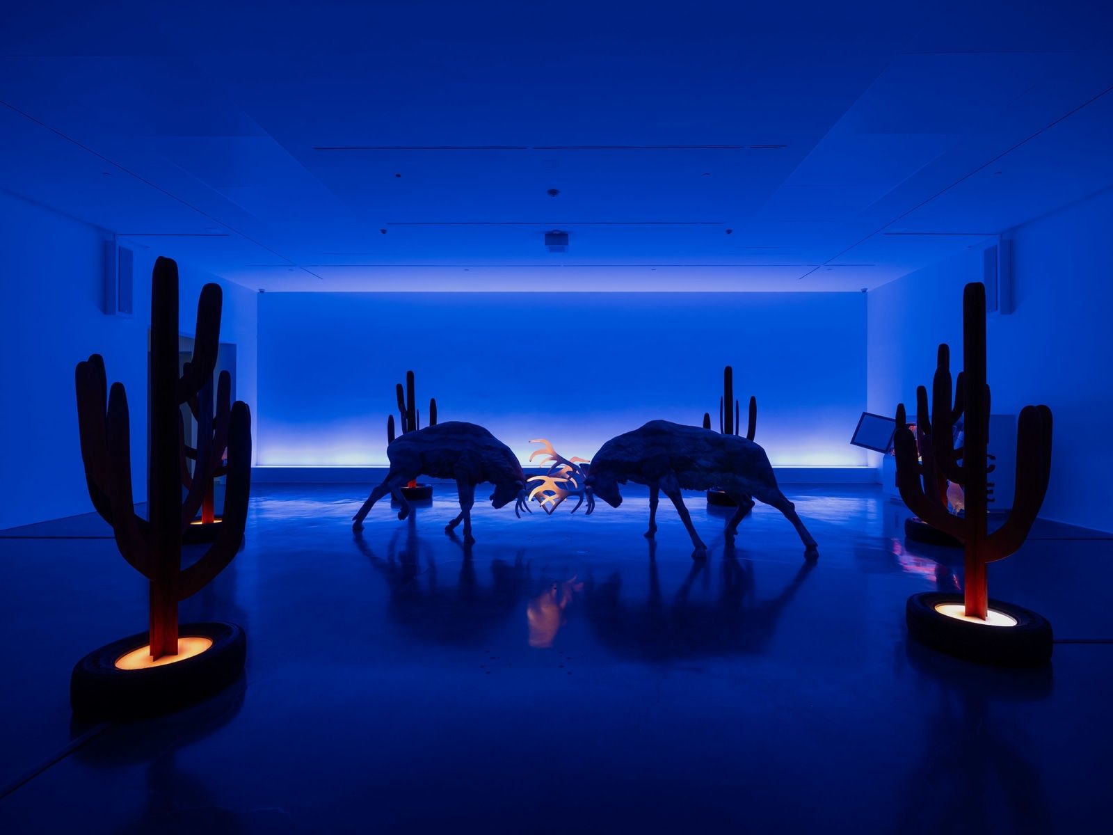 Doug Aitken, Psychic Debris Field at Regen Projects, photo 6