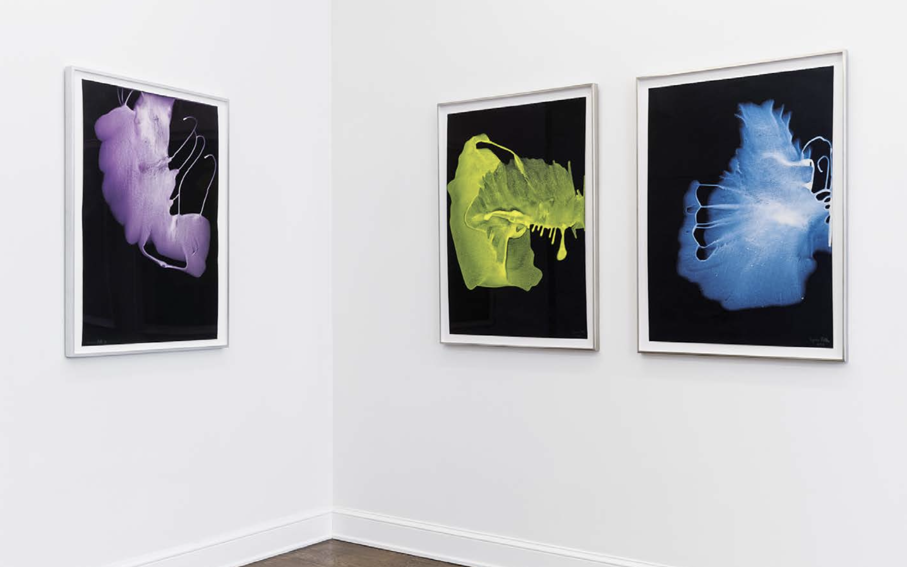 John Wesley & Sigmar Polke, The Walrus and the Carpenter at Leo Koenig Inc., photo 2