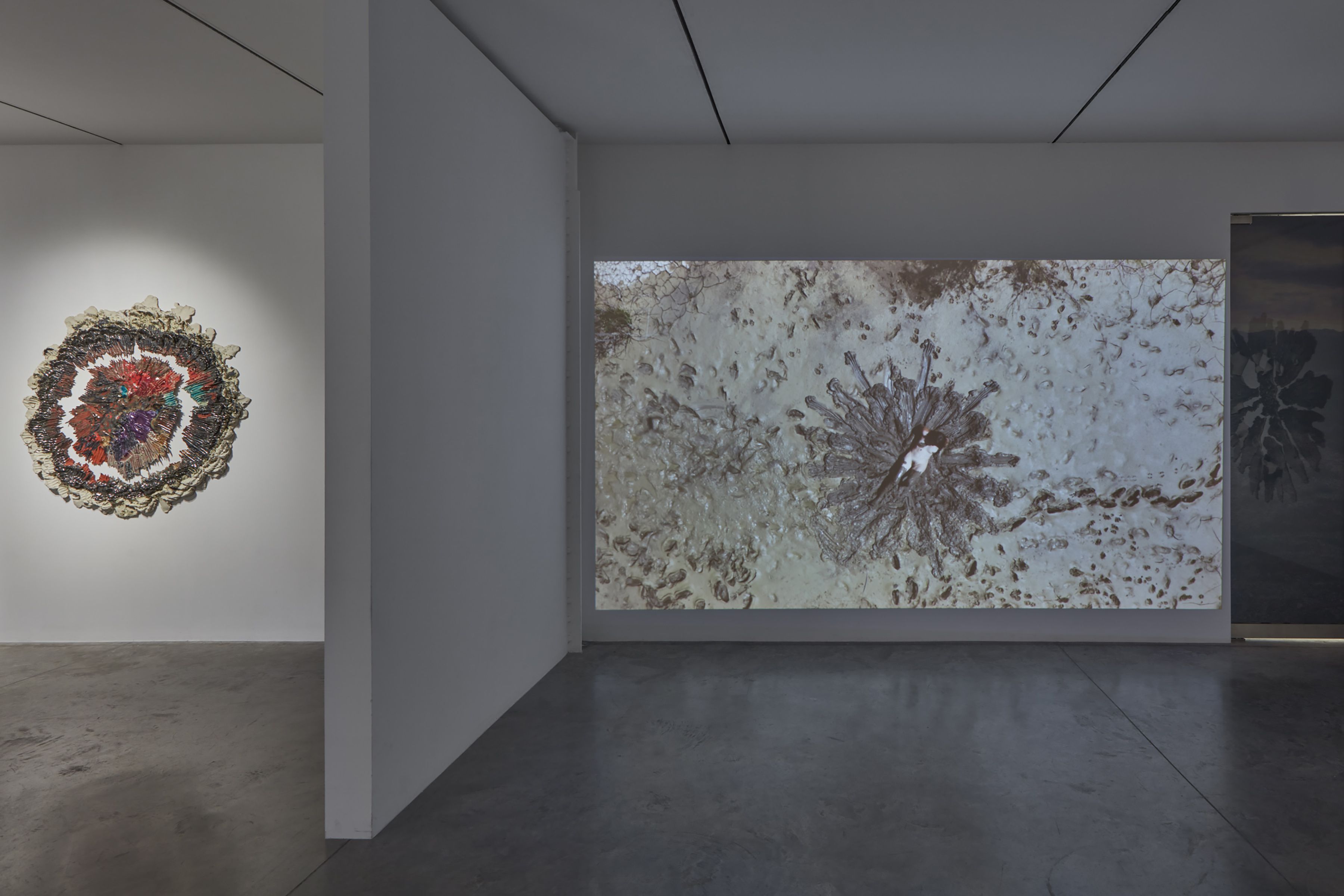 Brie Ruais, Some Things I Know About Being in a Body at Albertz Benda, photo 5