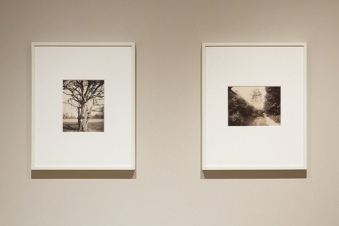 Eugène Atget, A Quiet Calling at Pace/MacGill Gallery, photo 3