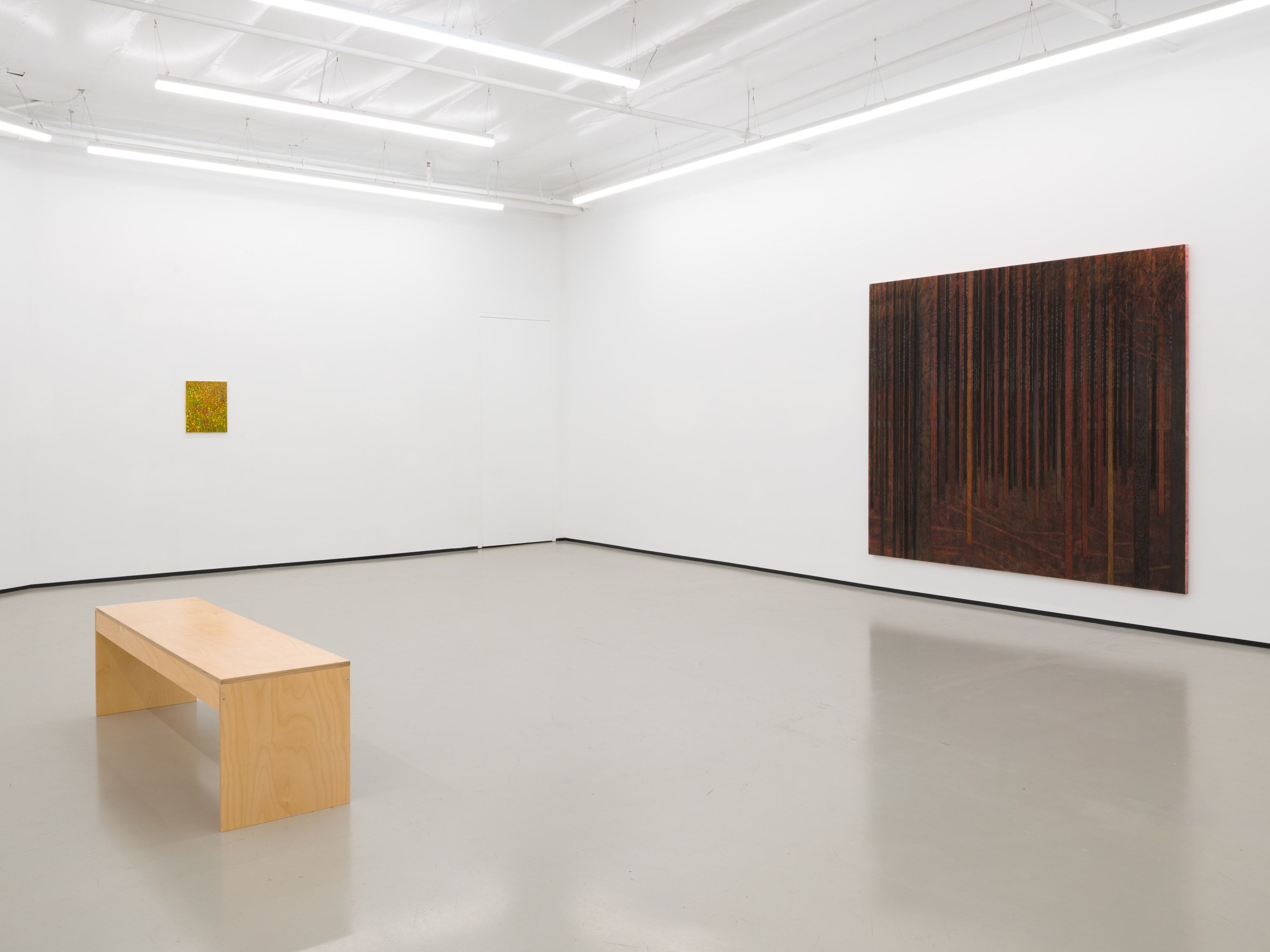 Sky Glabush, All Night I Heard a Singing Bird at Philip Martin Gallery, photo 6