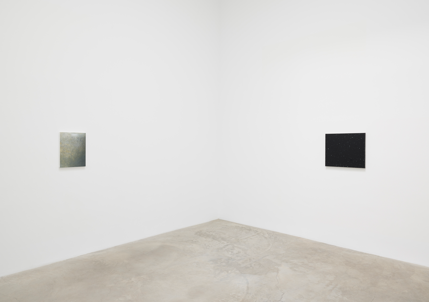 Vija Celmins, Vija Celmins at Matthew Marks, photo 6