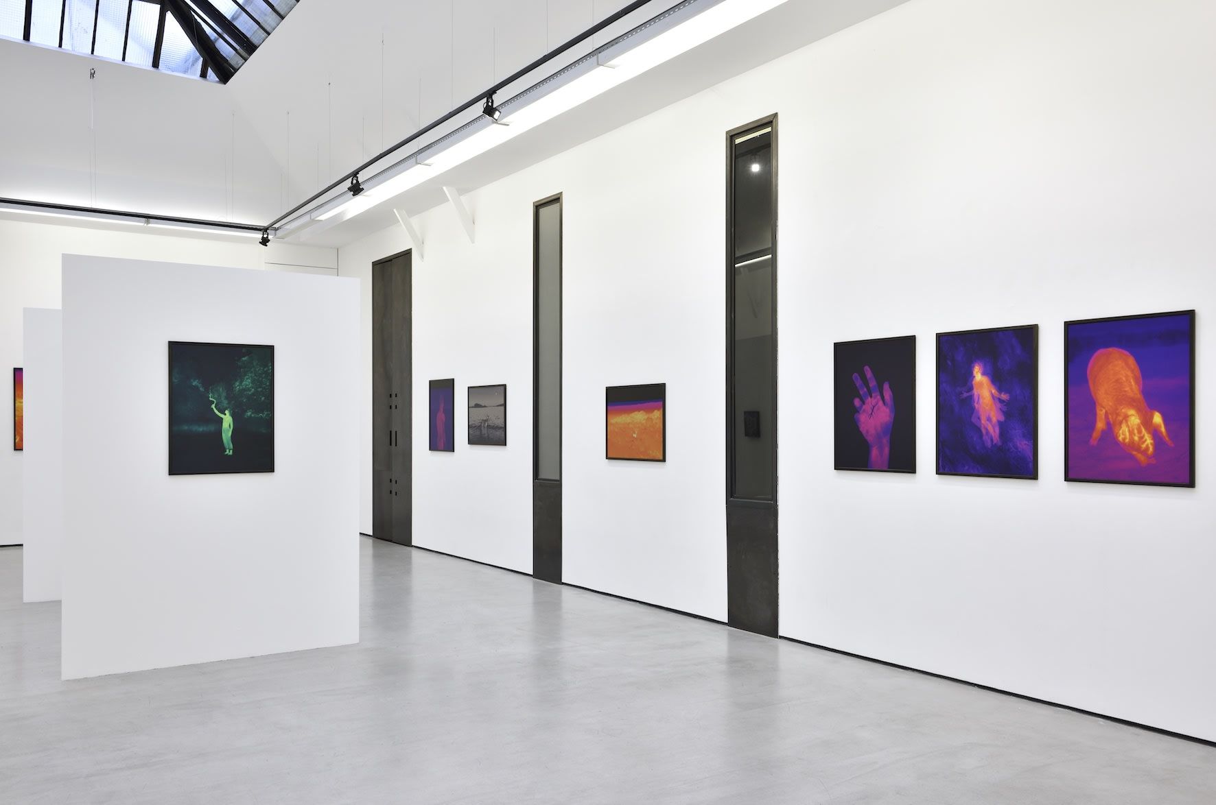 Smith, Dami at Christophe Gaillard, photo 12