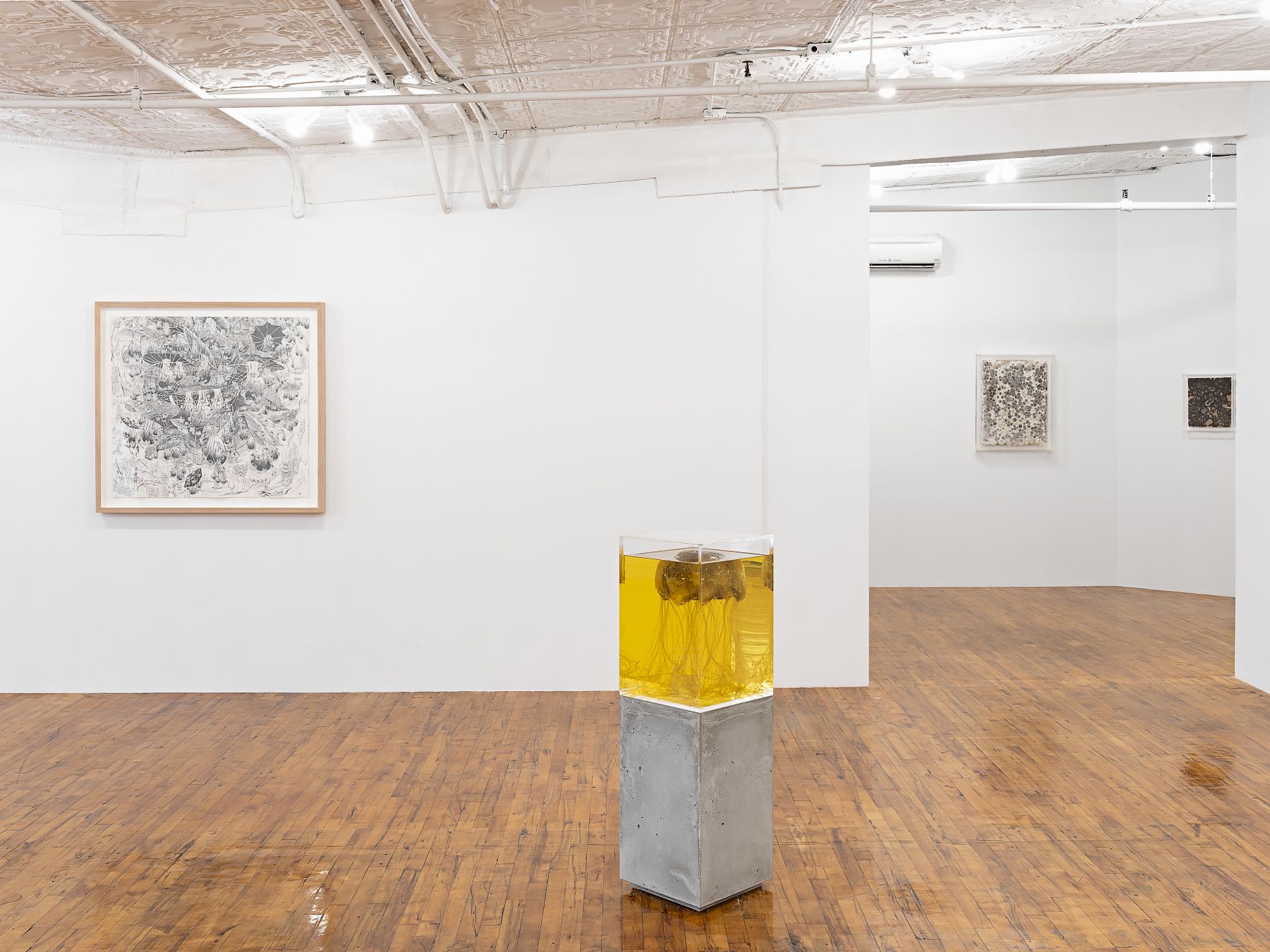 Installation view 7
