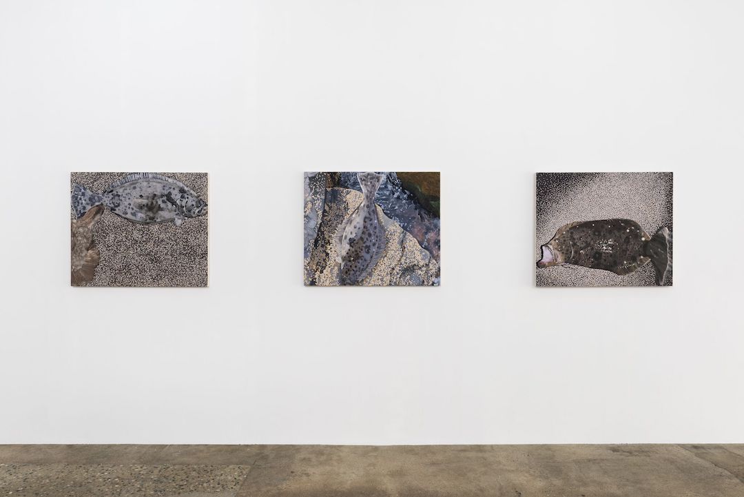 Adam Higgins, Flatfish at Hunter Shaw Fine Art, photo 6