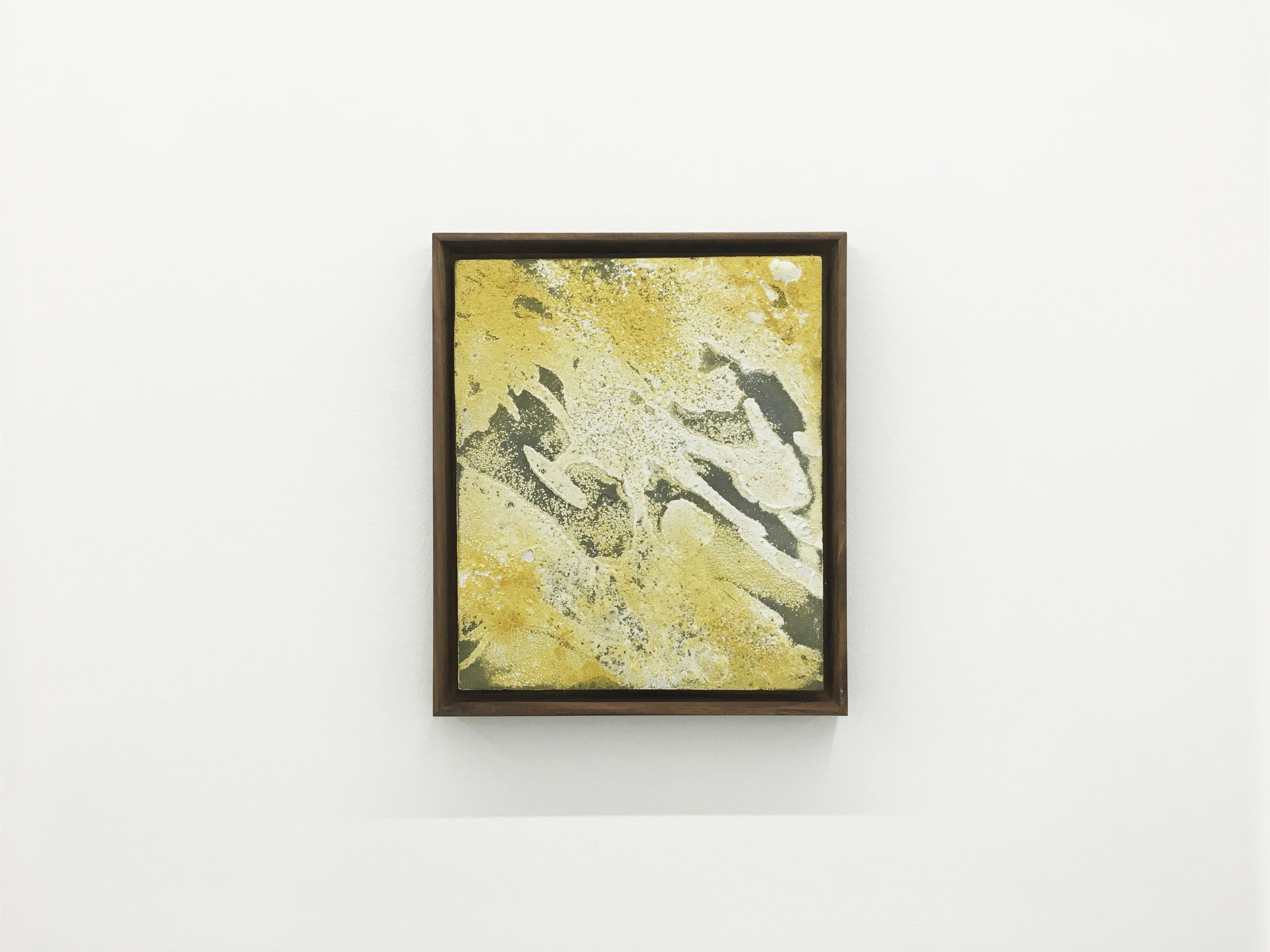 James Case-Leal, Grow Light at Parrasch Heijnen, photo 5