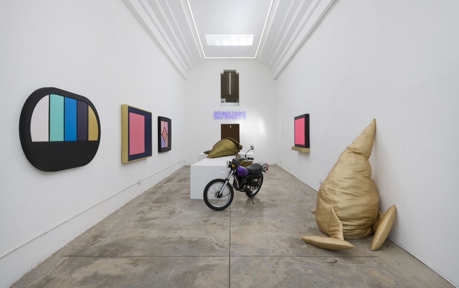 Sylvie Fleury, L.A. Bougainvillea at Karma International, photo 3