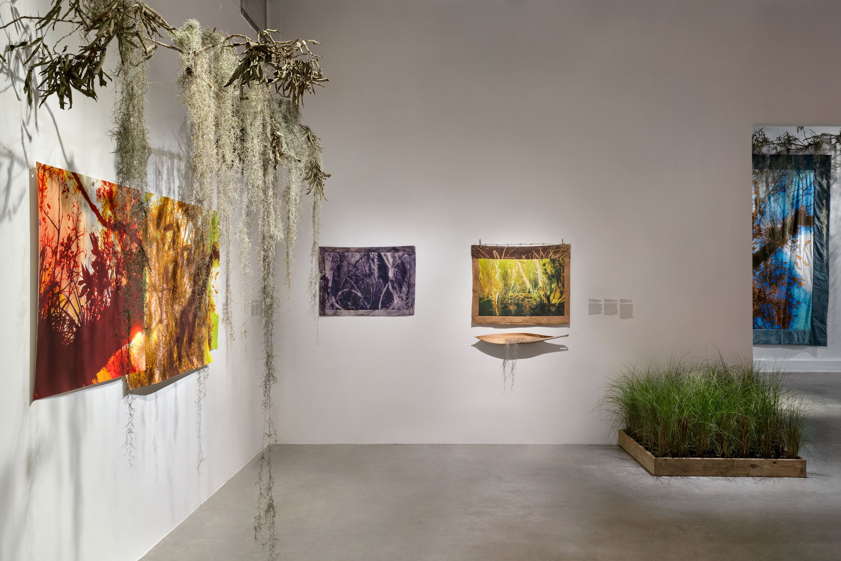 Diana Eusebio, Field of Dreams at MOCA North Miami, photo 8