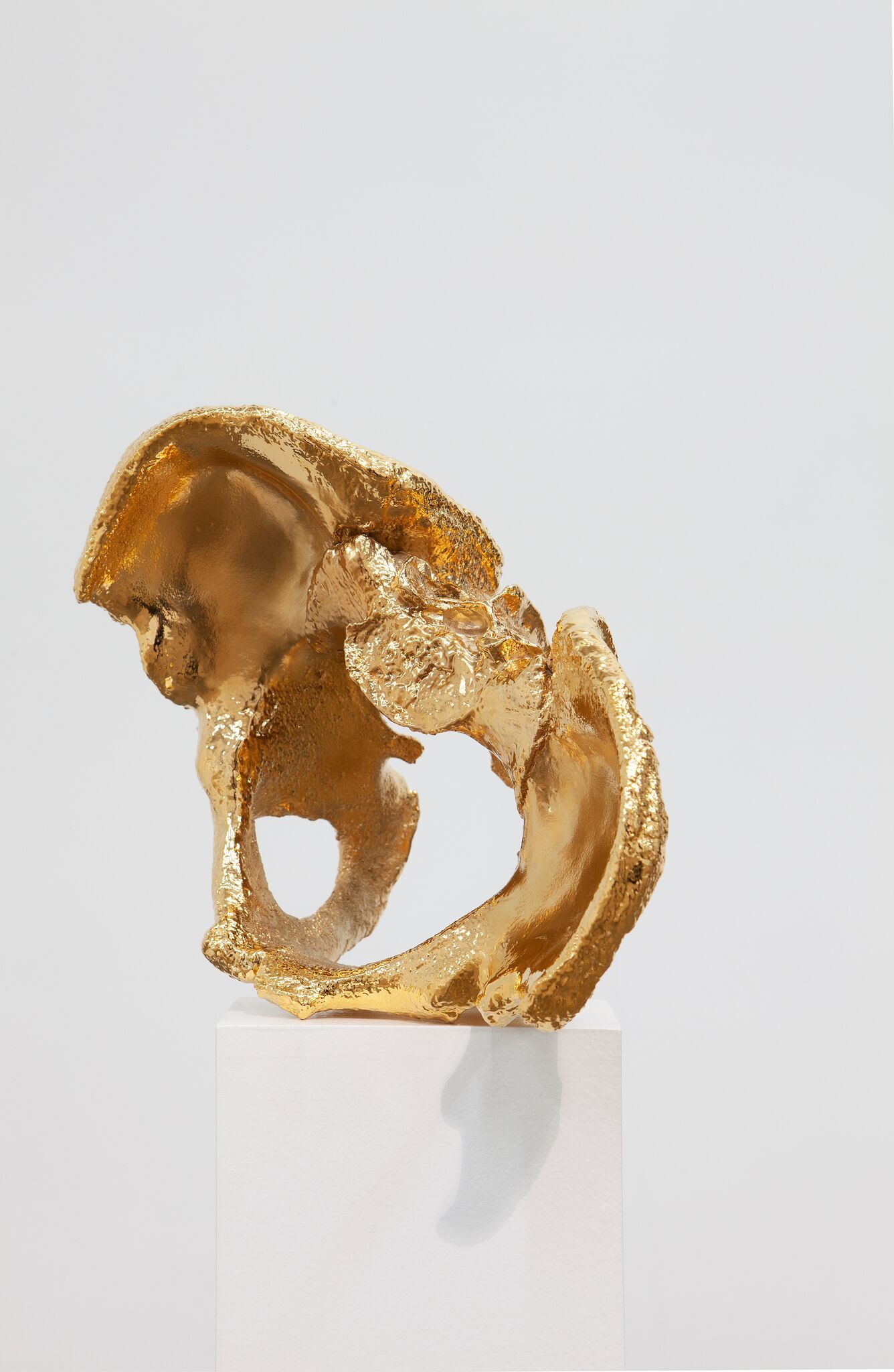 Carol Peligian, Of Body at False Flag, photo 4