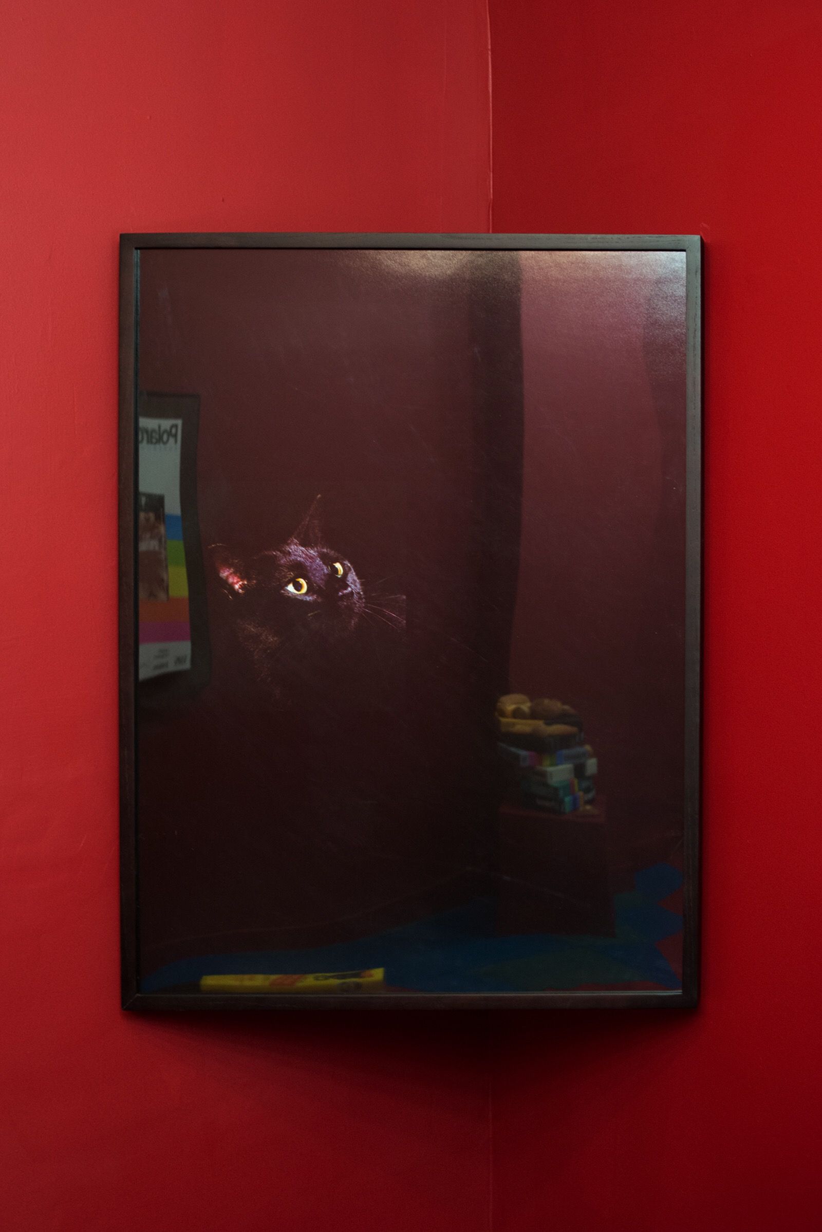Willie Stewart, House on Fascination Street at Motel, photo 11