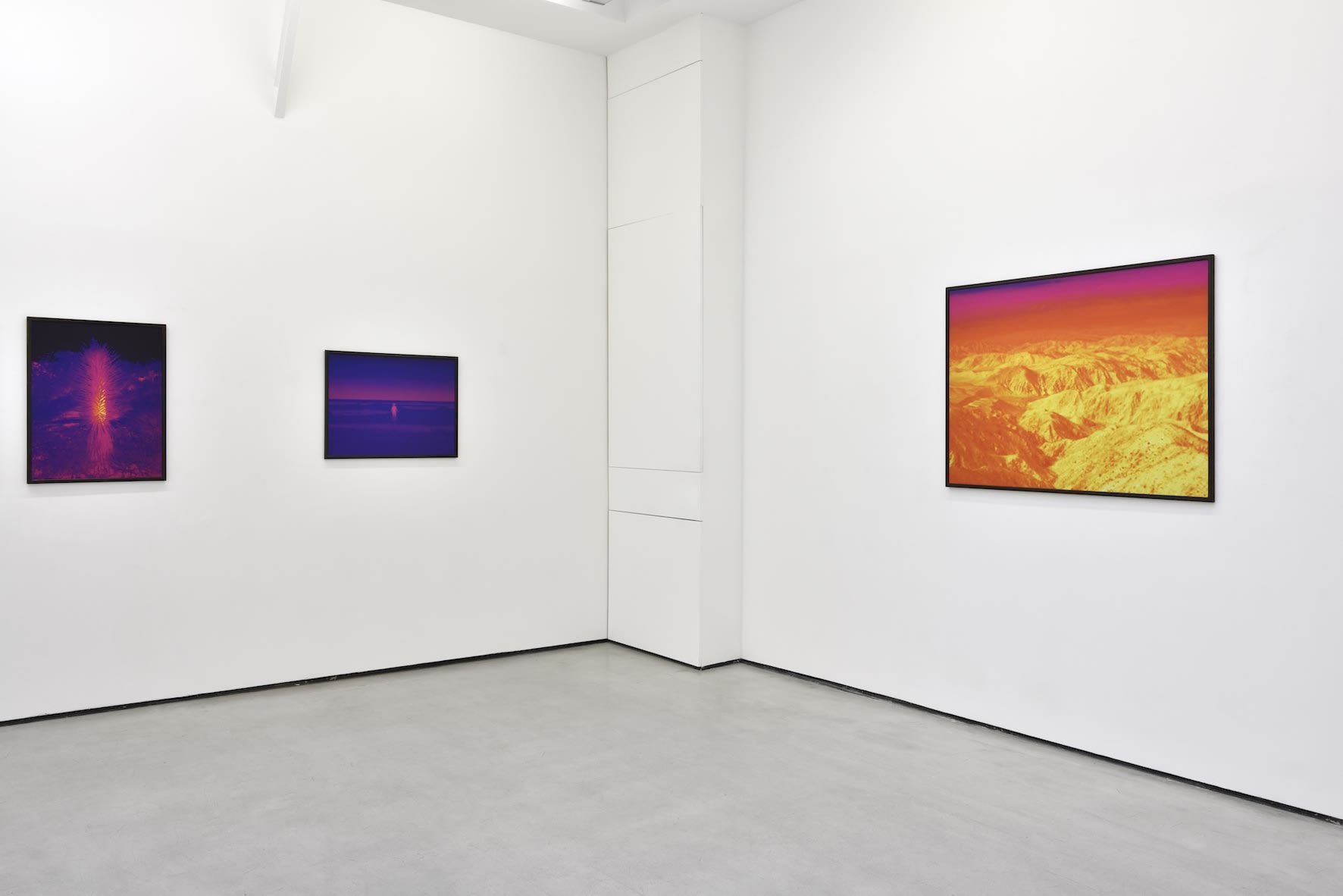 Smith, Dami at Christophe Gaillard, photo 6