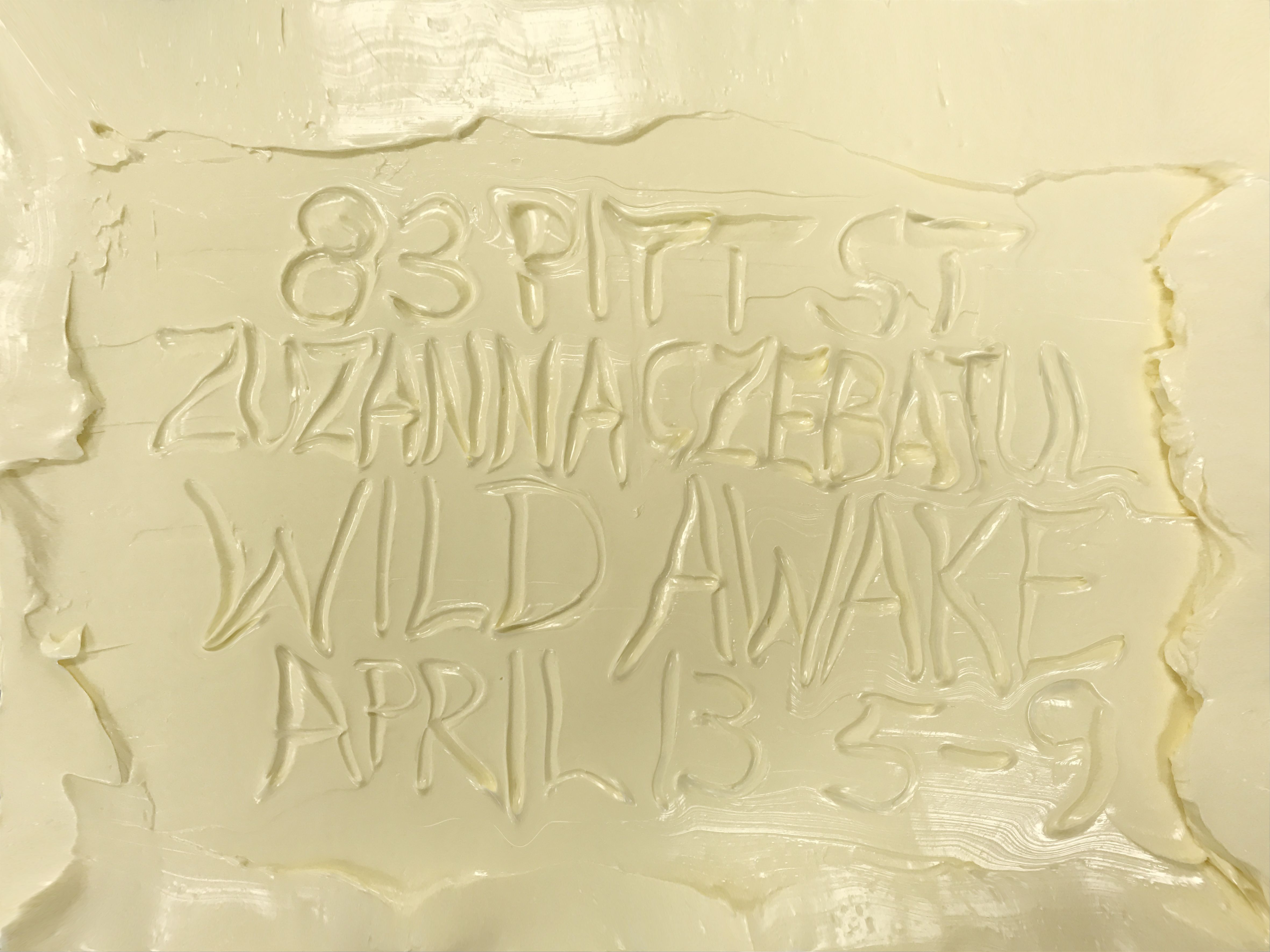 Zuzanna Czebatul, Wild Awake at 83 Pitt St, photo 3