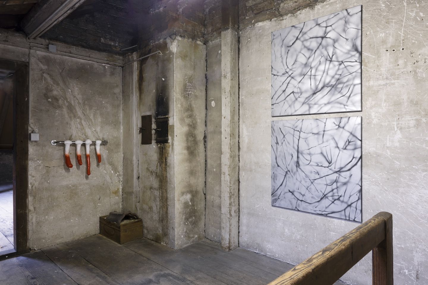 Klaudia Schifferle, image 11 of 17