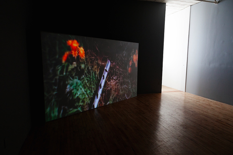 Deborah Mesa-Pelly, Freddie, Bread, Curtains at Honey Ramka, photo 2