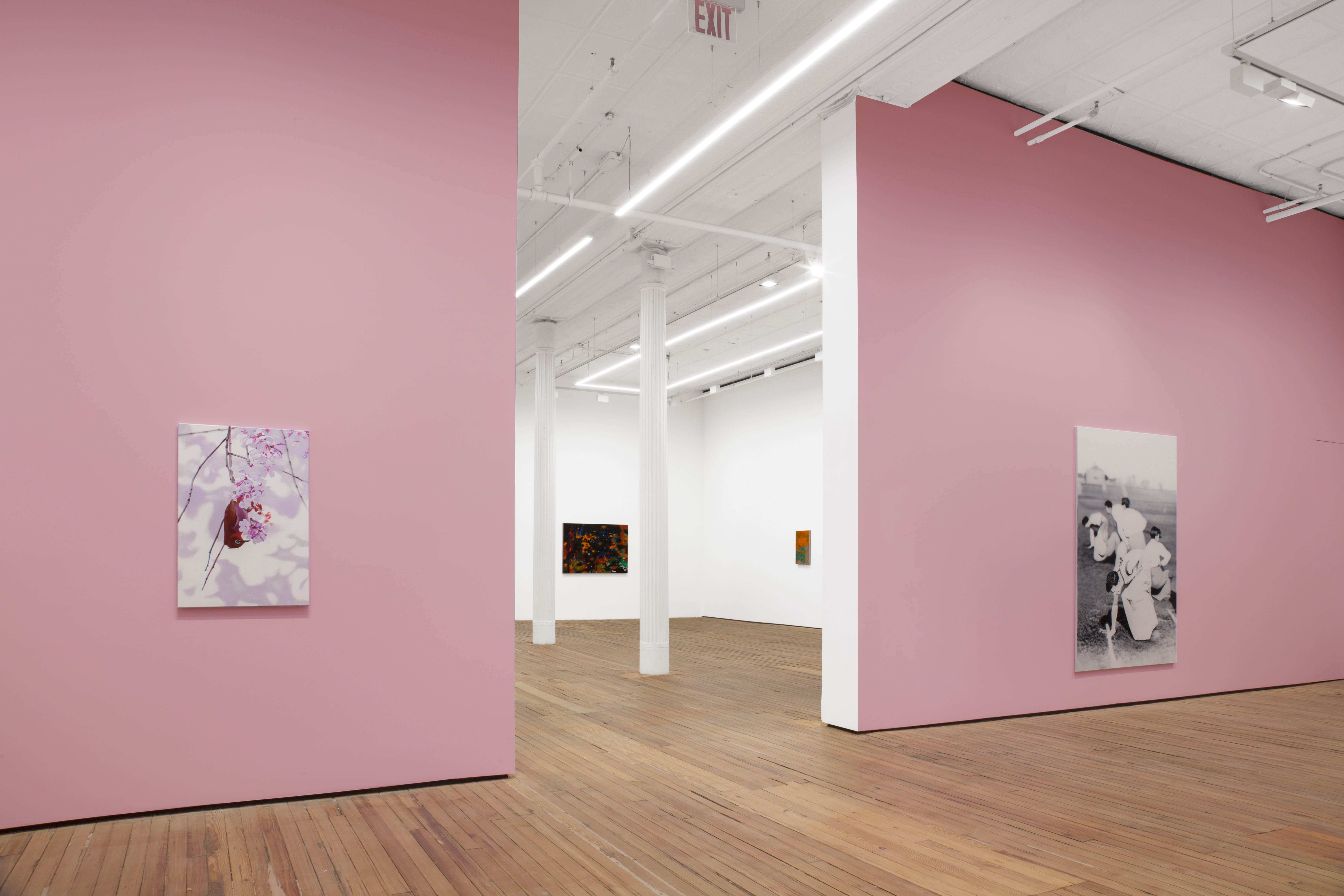 Alex Dordoy, The Flowers and the Hours at Grimm, photo 2