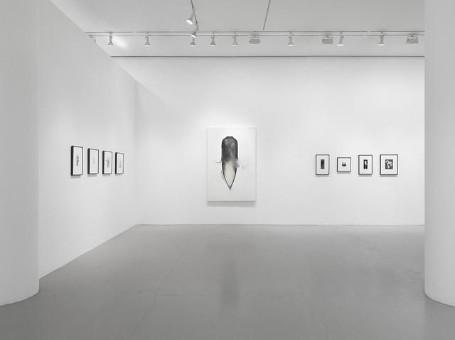 Jay DeFeo, Jay DeFeo at Mitchell-Innes & Nash, photo 3