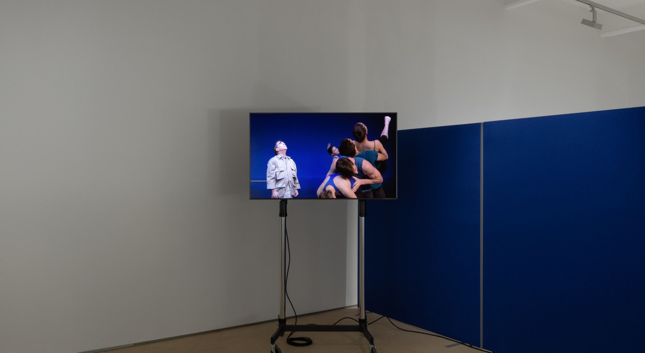 Michael Smith, Yet another show of drawings and videos reflecting on youth, ageing and a future of retirement by Michael Smith at Hales, photo 4