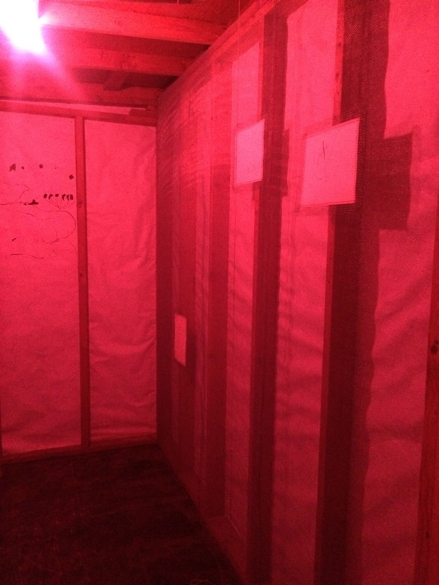 Hanna Hur & Michael Kennedy Costa, Trapdoor at 67 Steps, photo 4