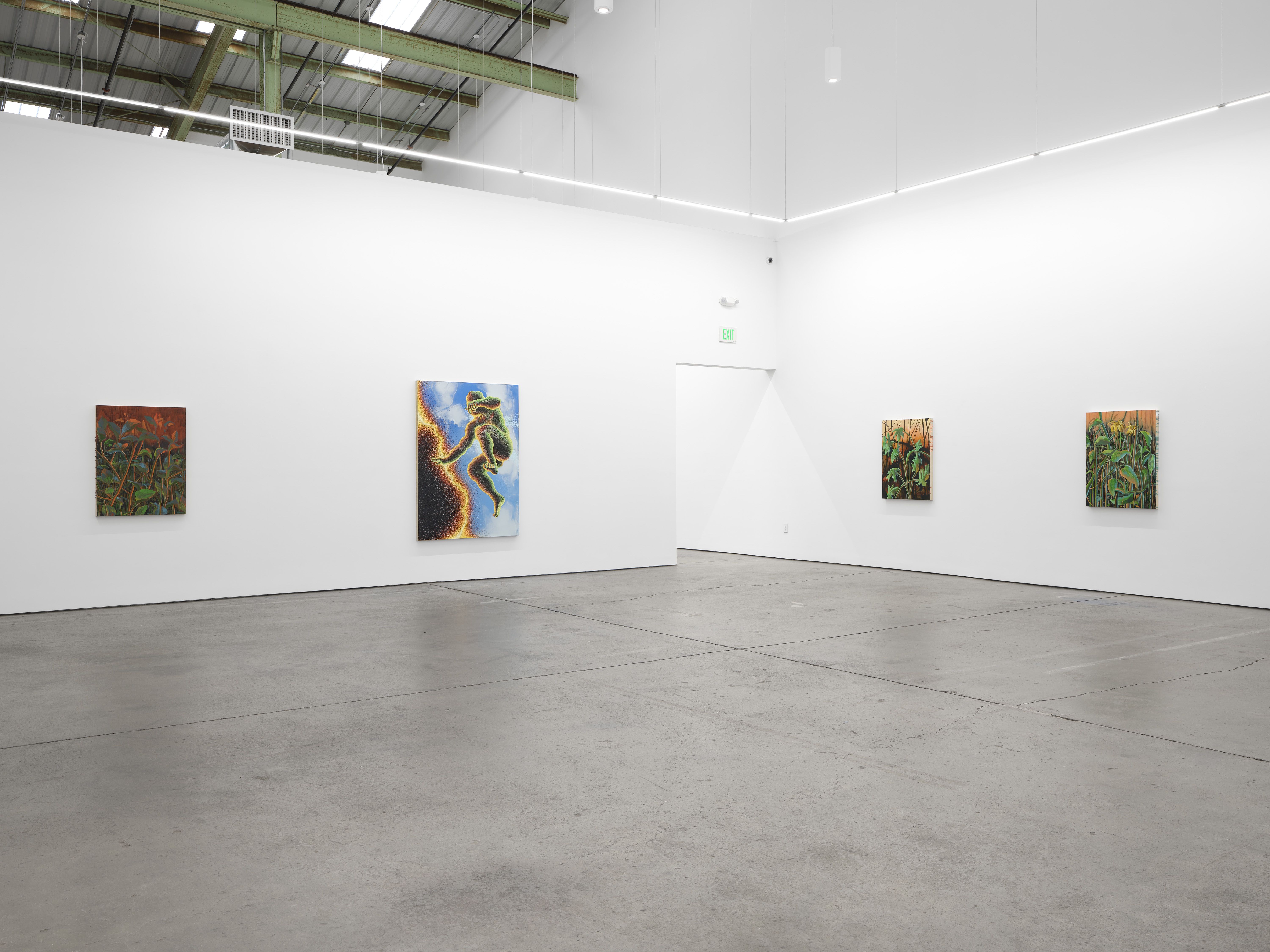Didier William, Beyond the Bodies’ Edge at Altman Siegel, photo 4
