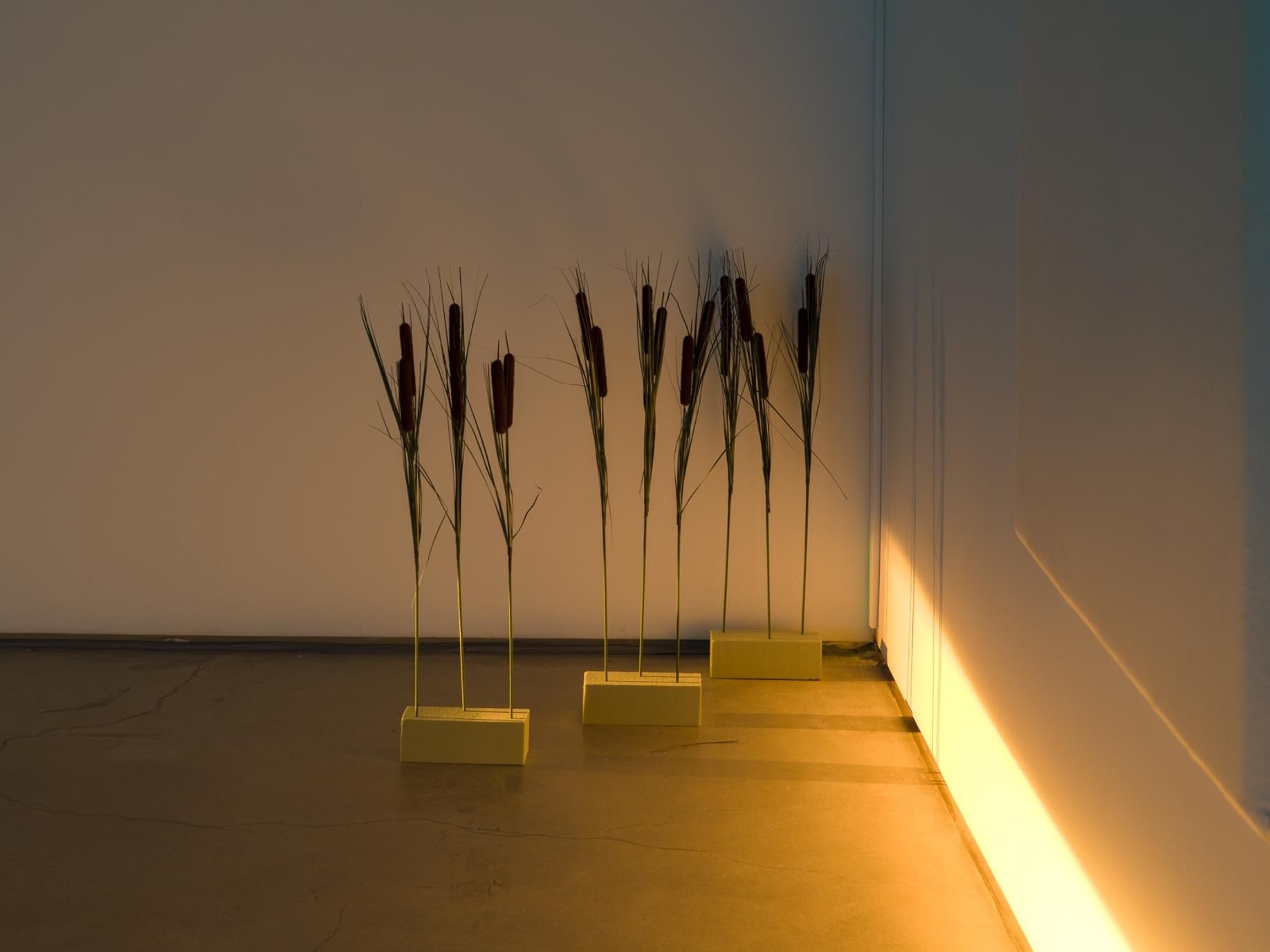 Will Rawls, [siccer] at ICA LA, photo 5