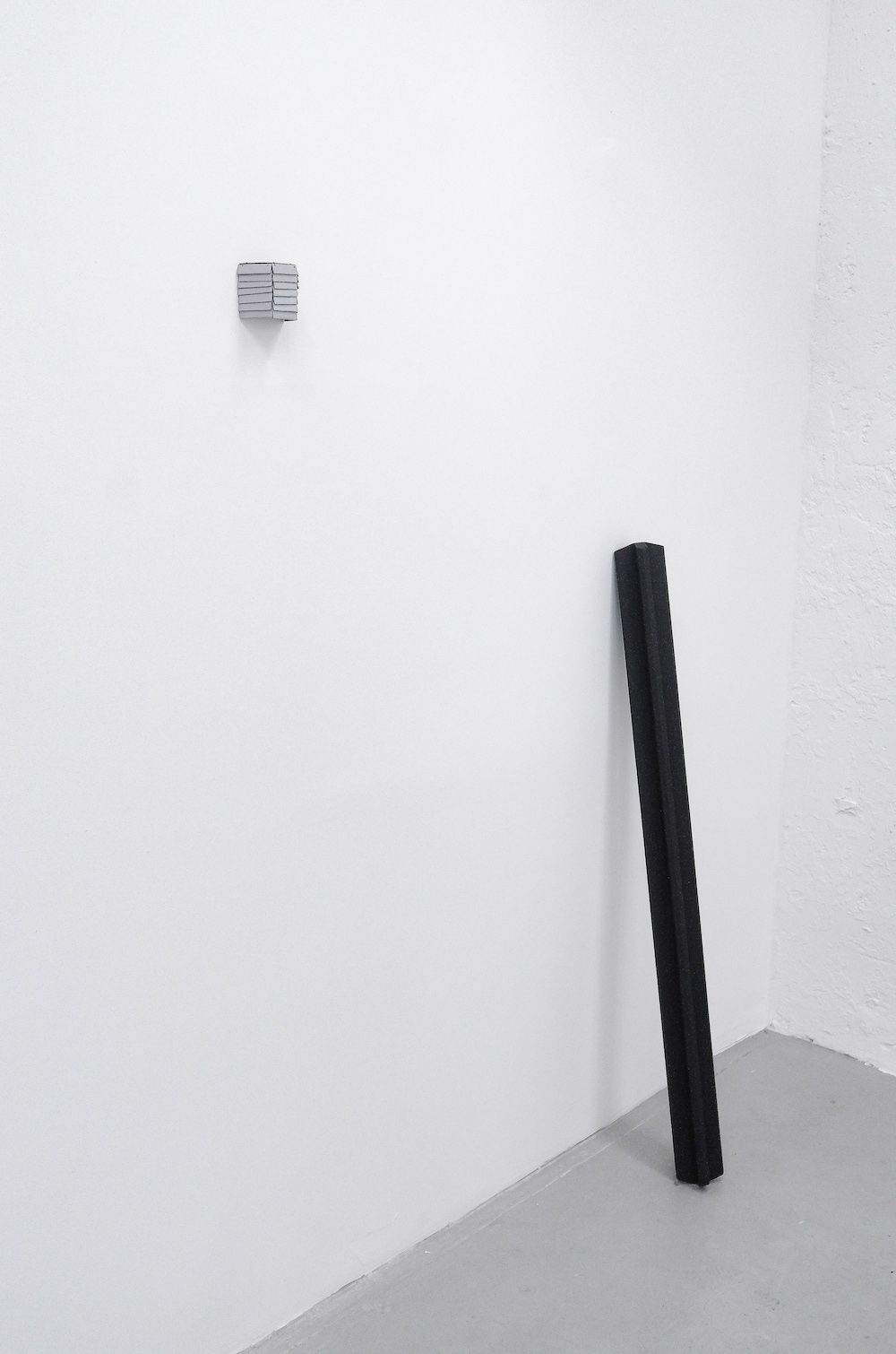 Christina Tenaglia, Parallel Situations at Thomas Park, photo 10