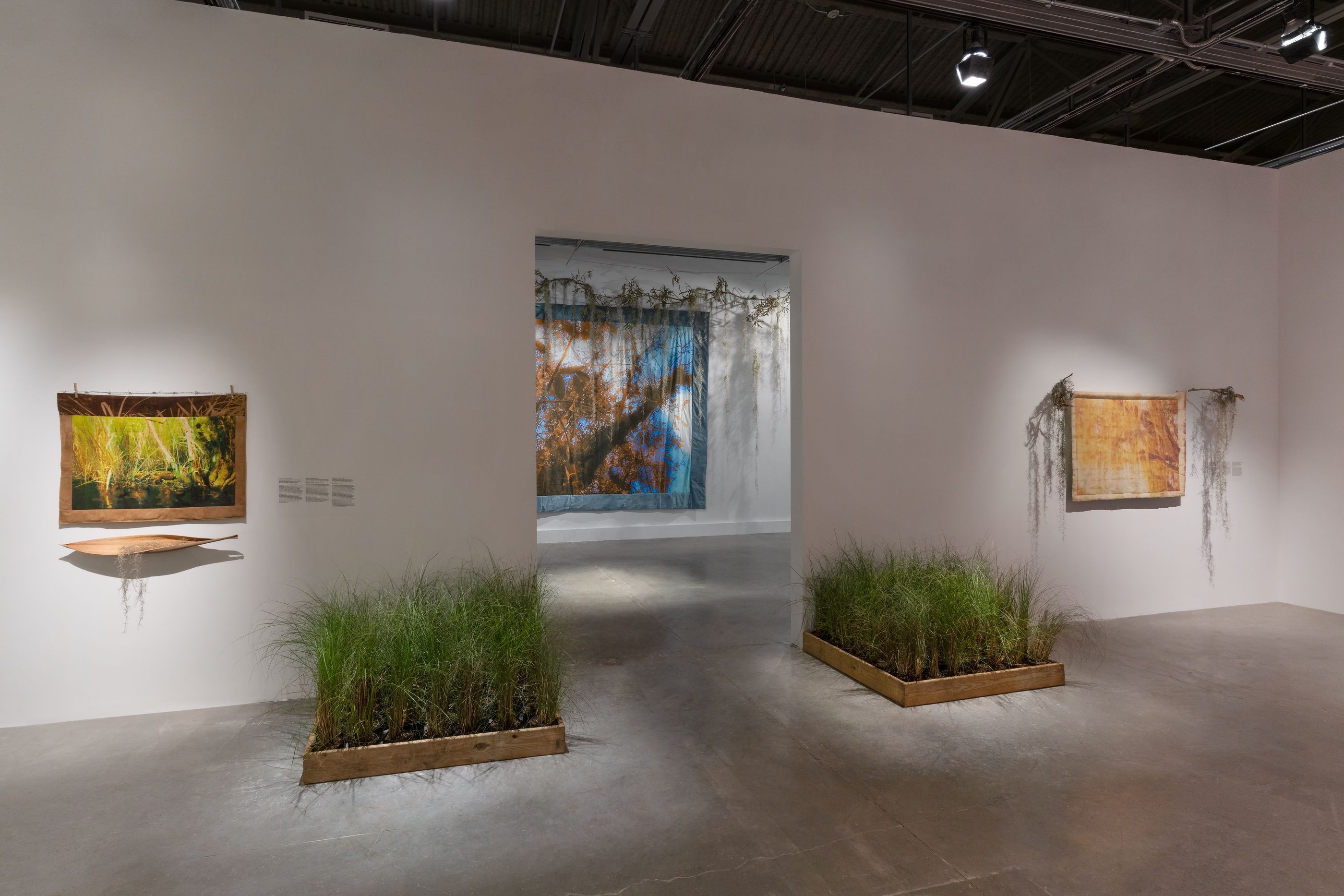 Diana Eusebio, Field of Dreams at MOCA North Miami, photo 9