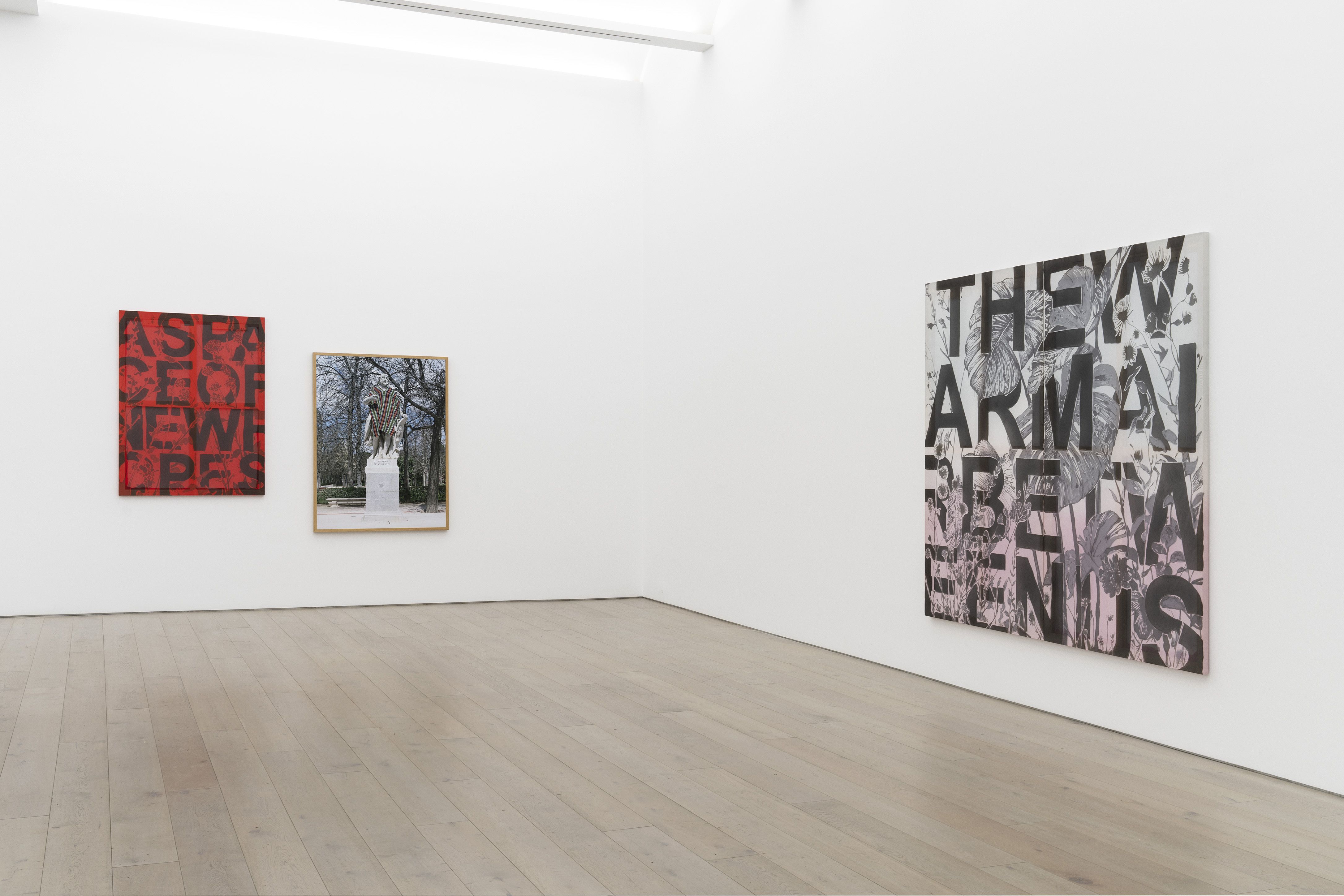 Iván Argote, Breathings at Perrotin, photo 2