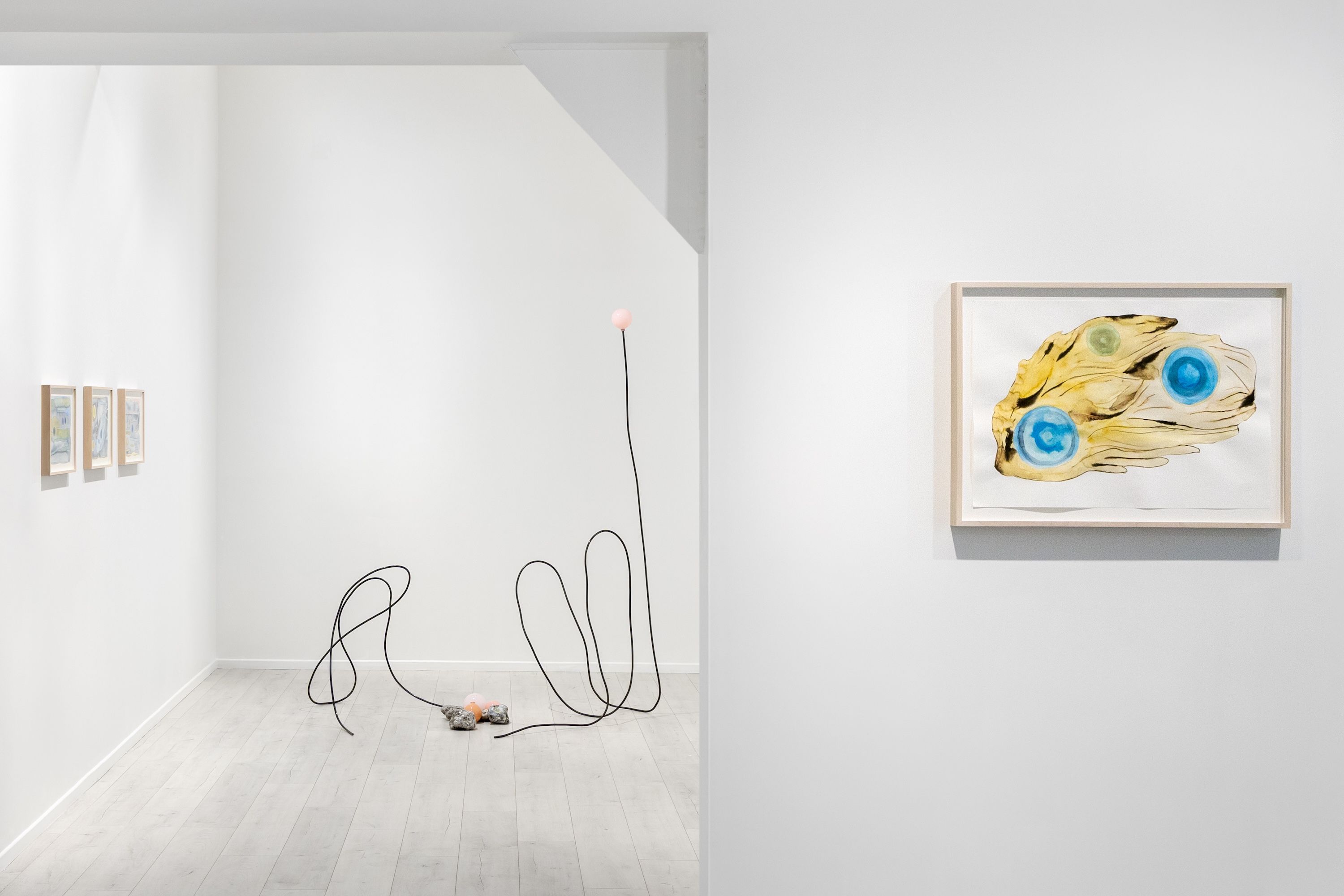 Carin Ellberg, Coastal Settlers and Species from the Sea at Andréhn-Schiptjenko, photo 13