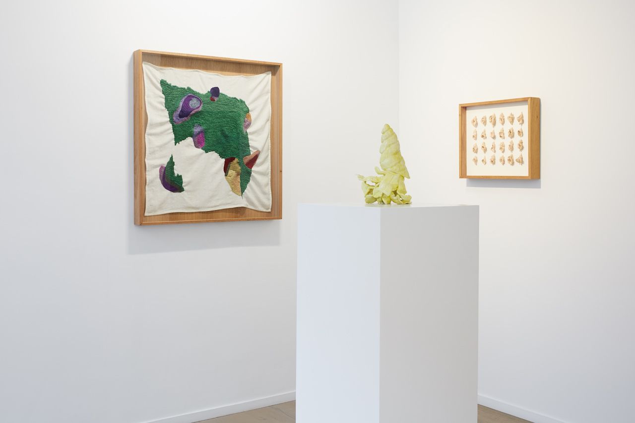 The Woman Who Walks With Me, The Woman Who Walks With Me at Galeria Nara Roesler, photo 3