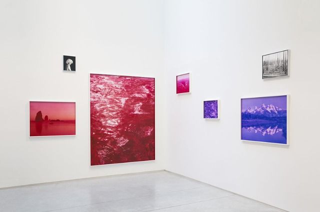 David Benjamin Sherry, Climate Vortex Sutra at Salon 94, photo 3
