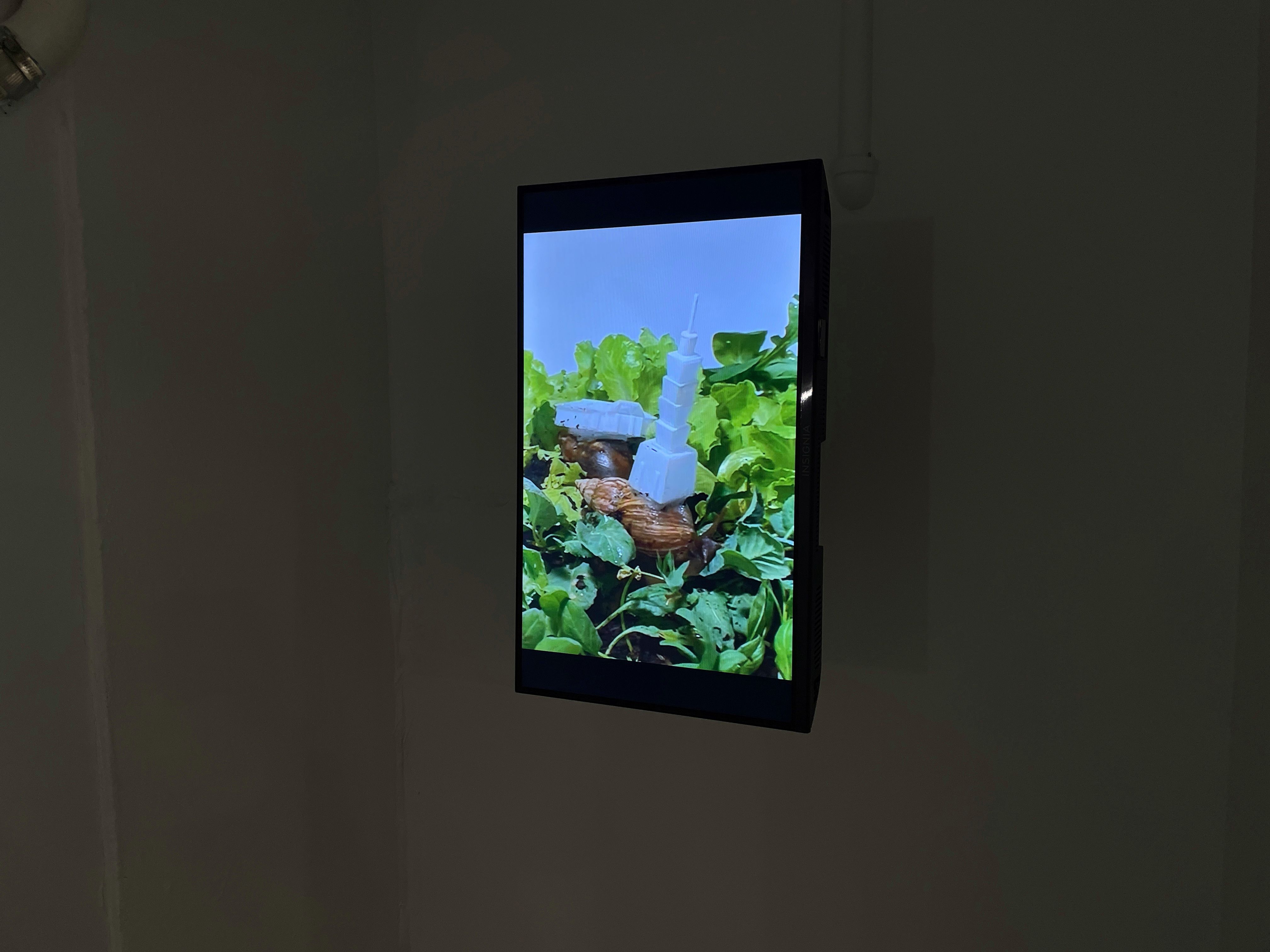 En-Man Chang, Mapping Snail at Nunu Fine Art, photo 4